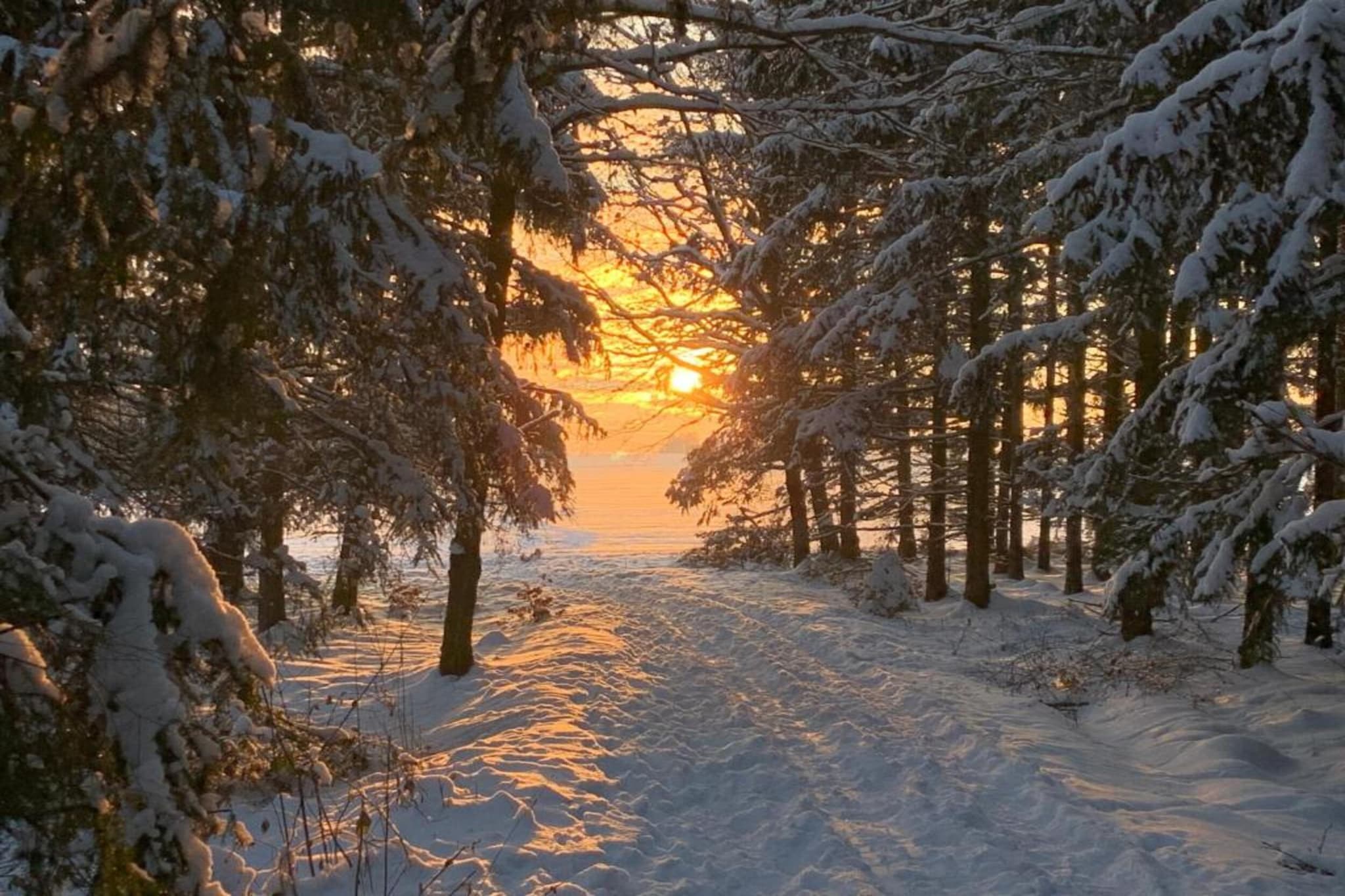Im Erzgebirge-Gebied winter 20km