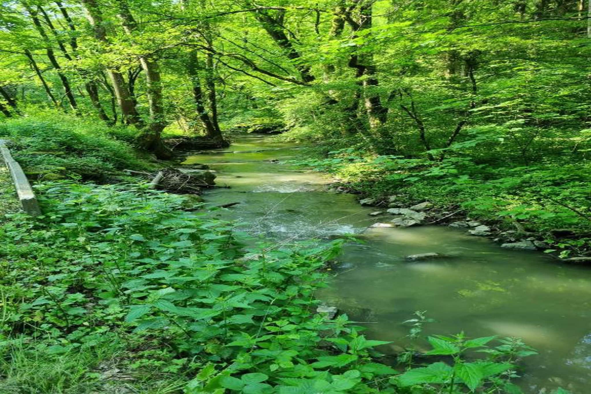 De Kleine Beer-Areas summer 20km