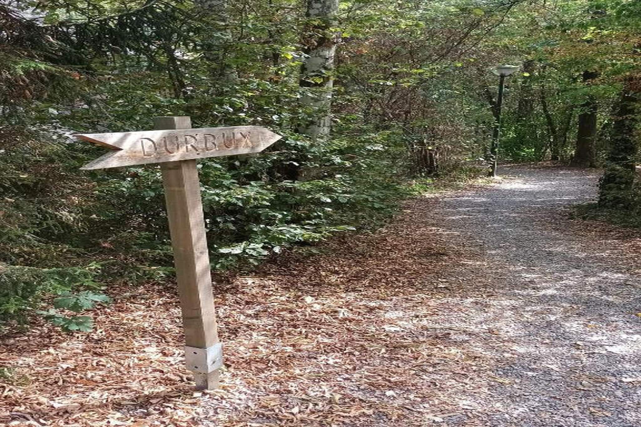 De Kleine Beer-Areas summer 20km