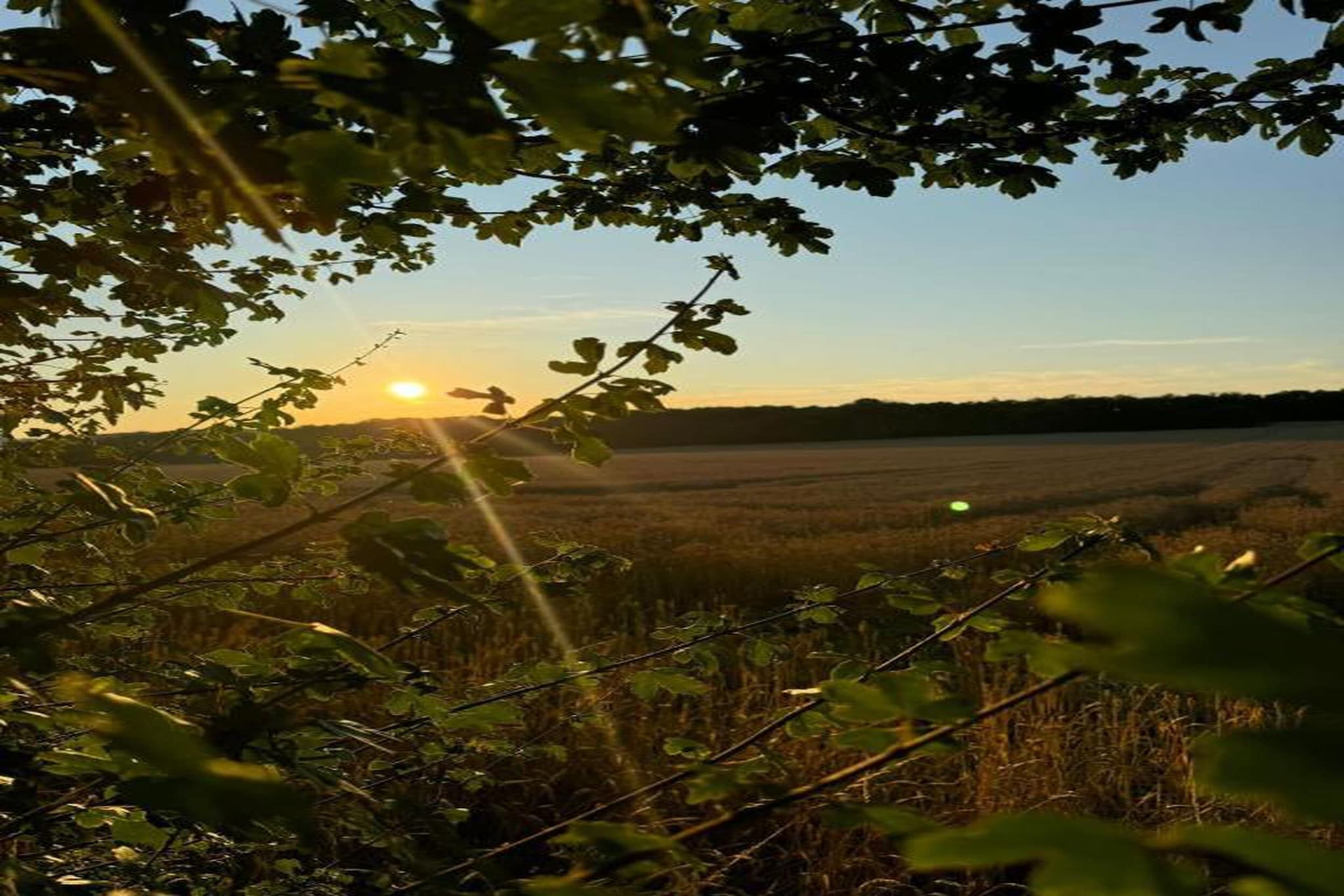 De Kleine Beer-Areas summer 20km