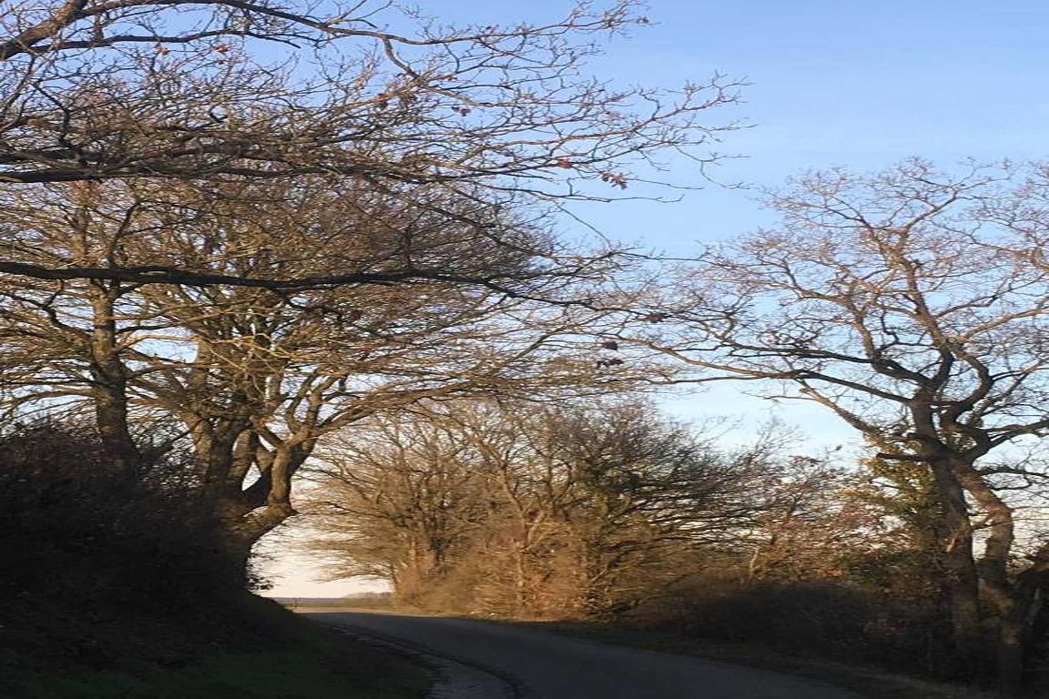 La Grange de Marcel-Gebieden zomer 20km