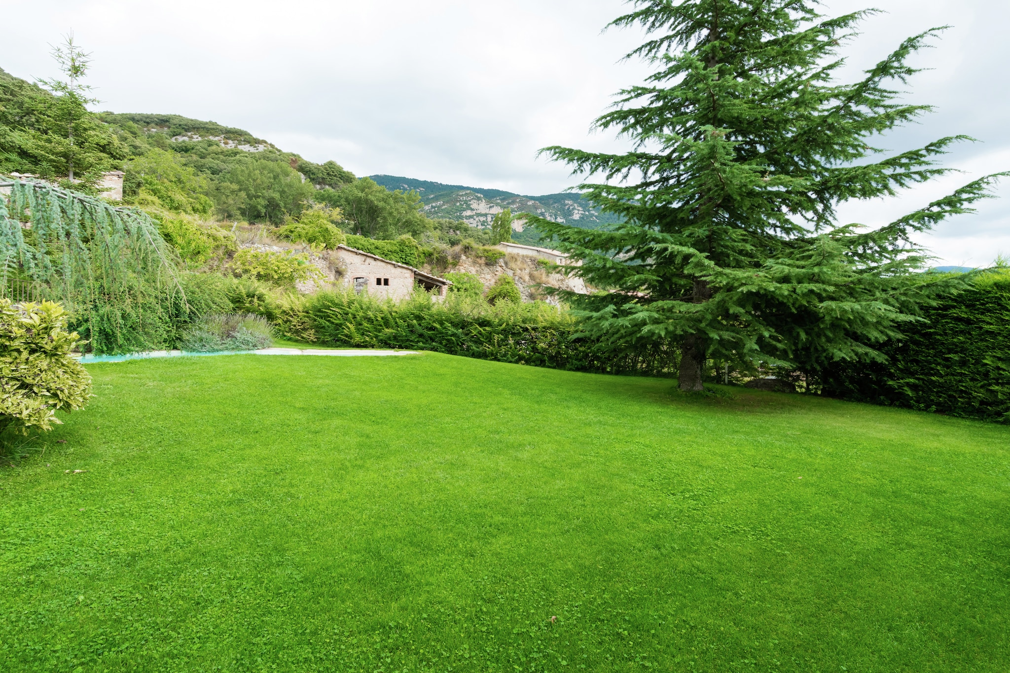 Garden Summer
