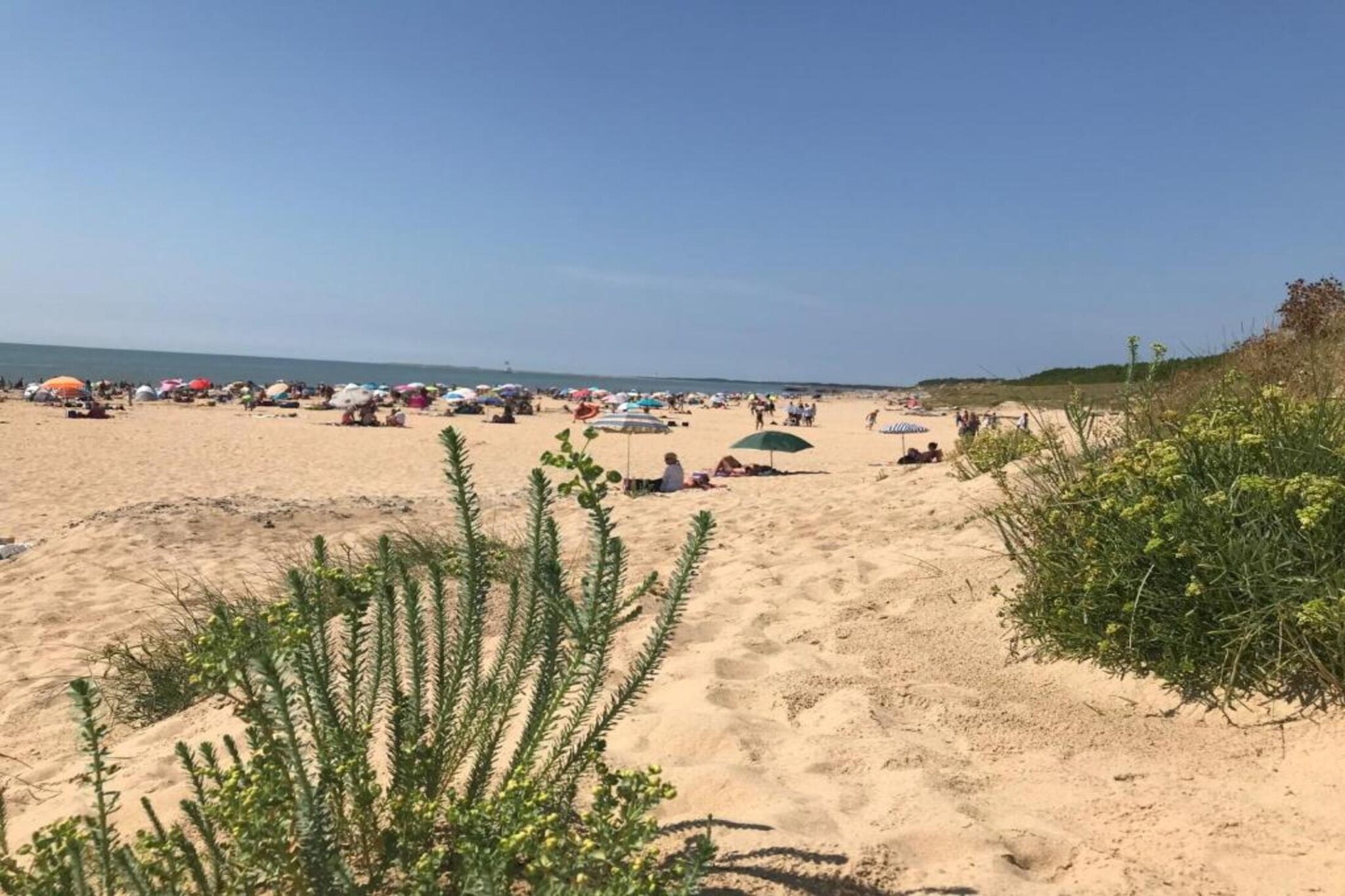 Les Carrelets 1-Gebieden zomer 5km