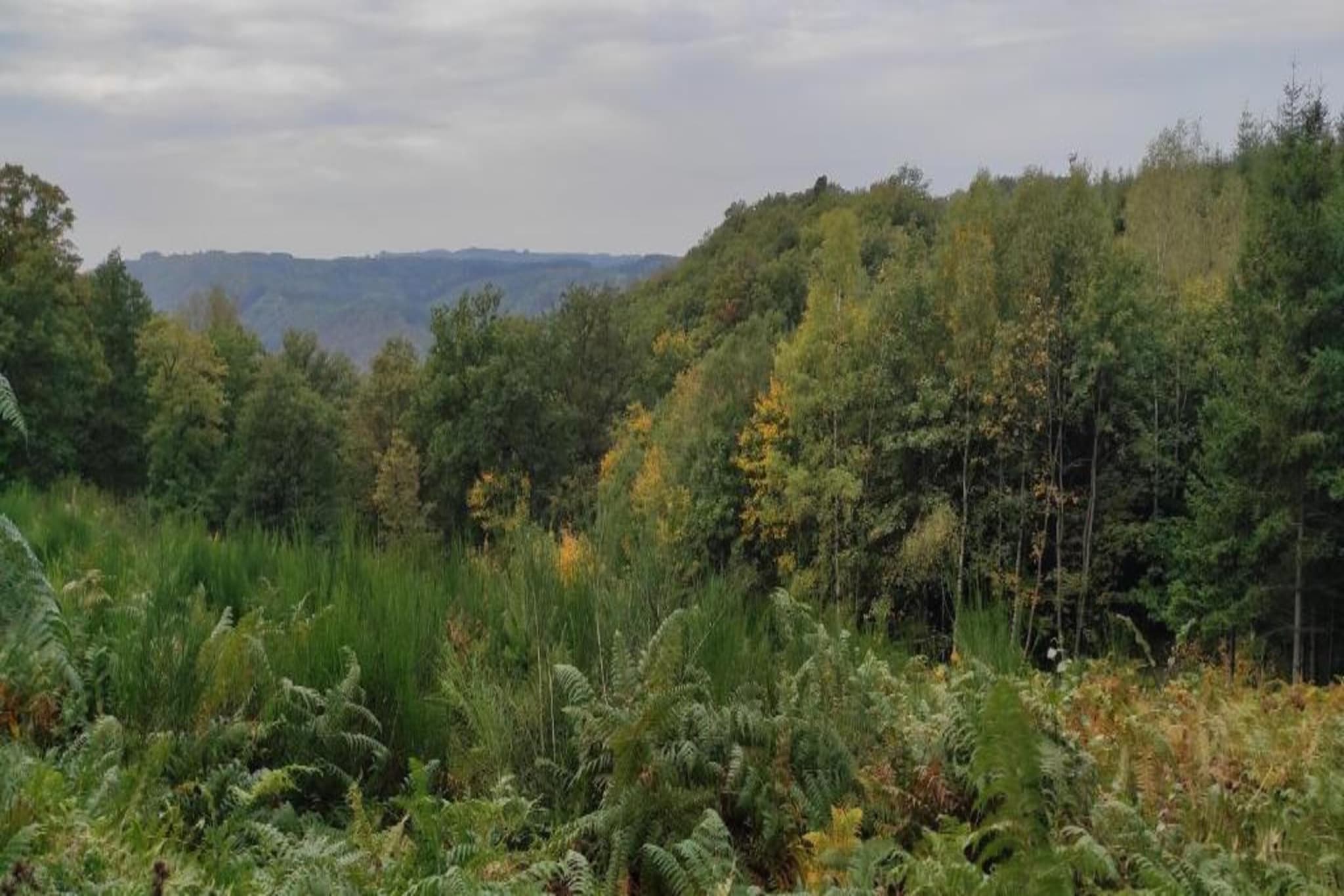 Les Genets-Areas summer 20km