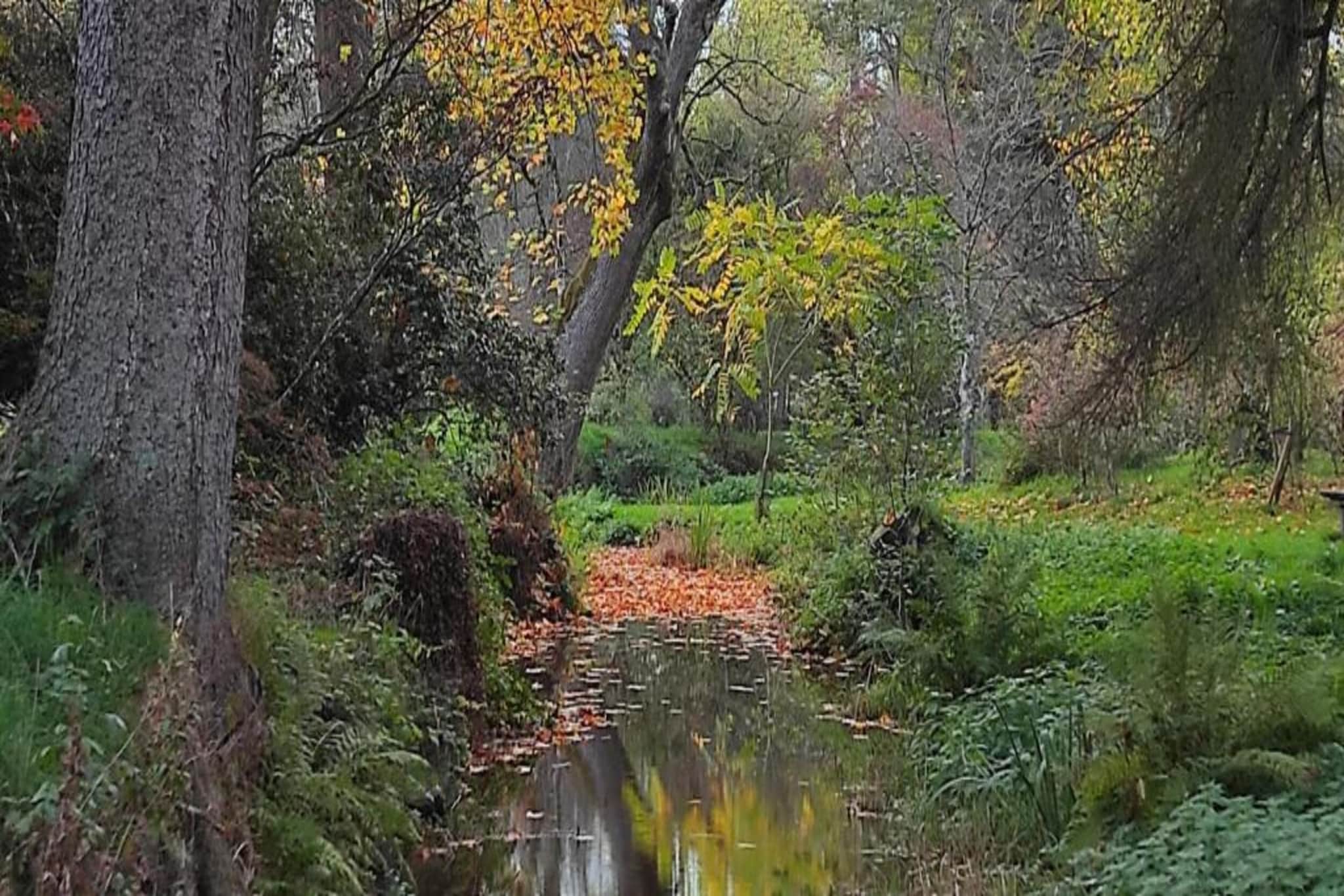Les Genets-Areas summer 20km