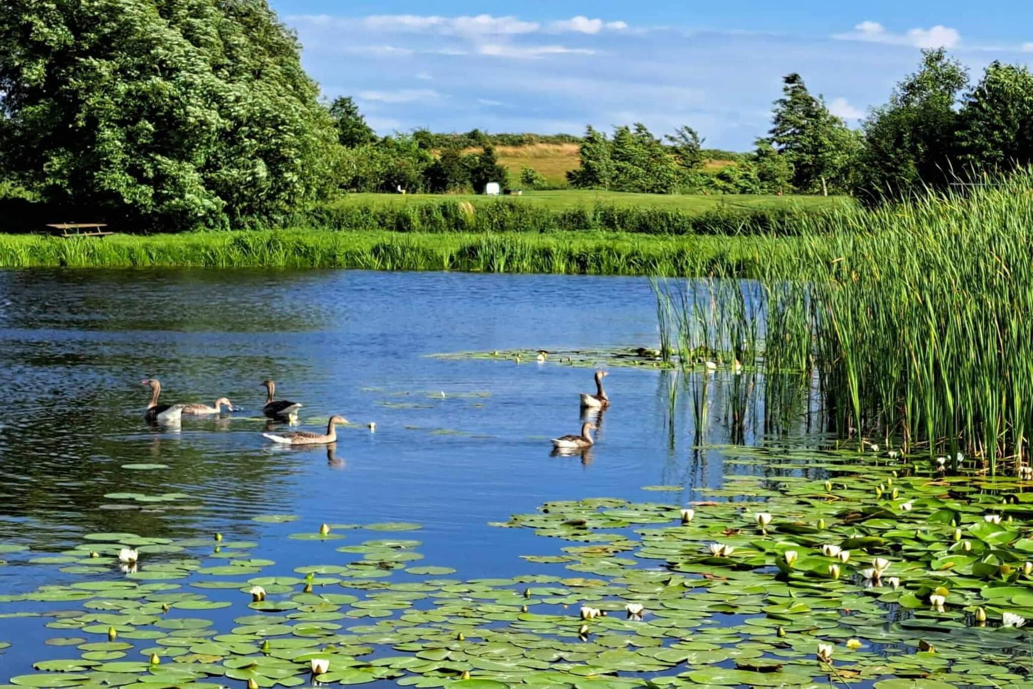 Luxe Spa Retreat aan Zee -- By Traum Ferienwohnungen-Waterzicht