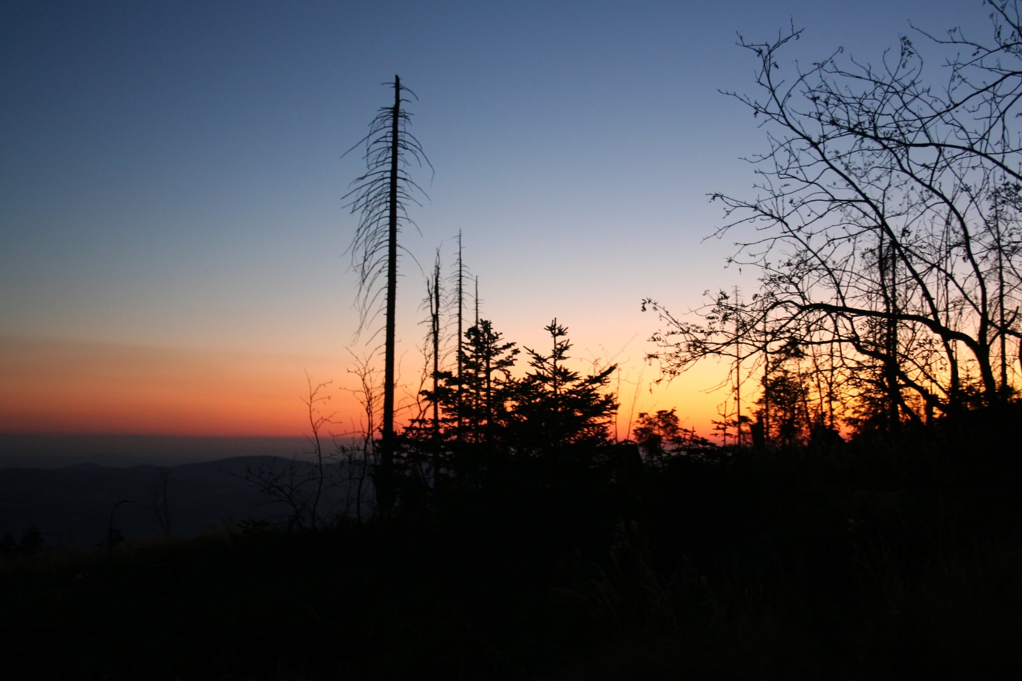 Im Bayerischen Wald-Zones d'été à 20 km