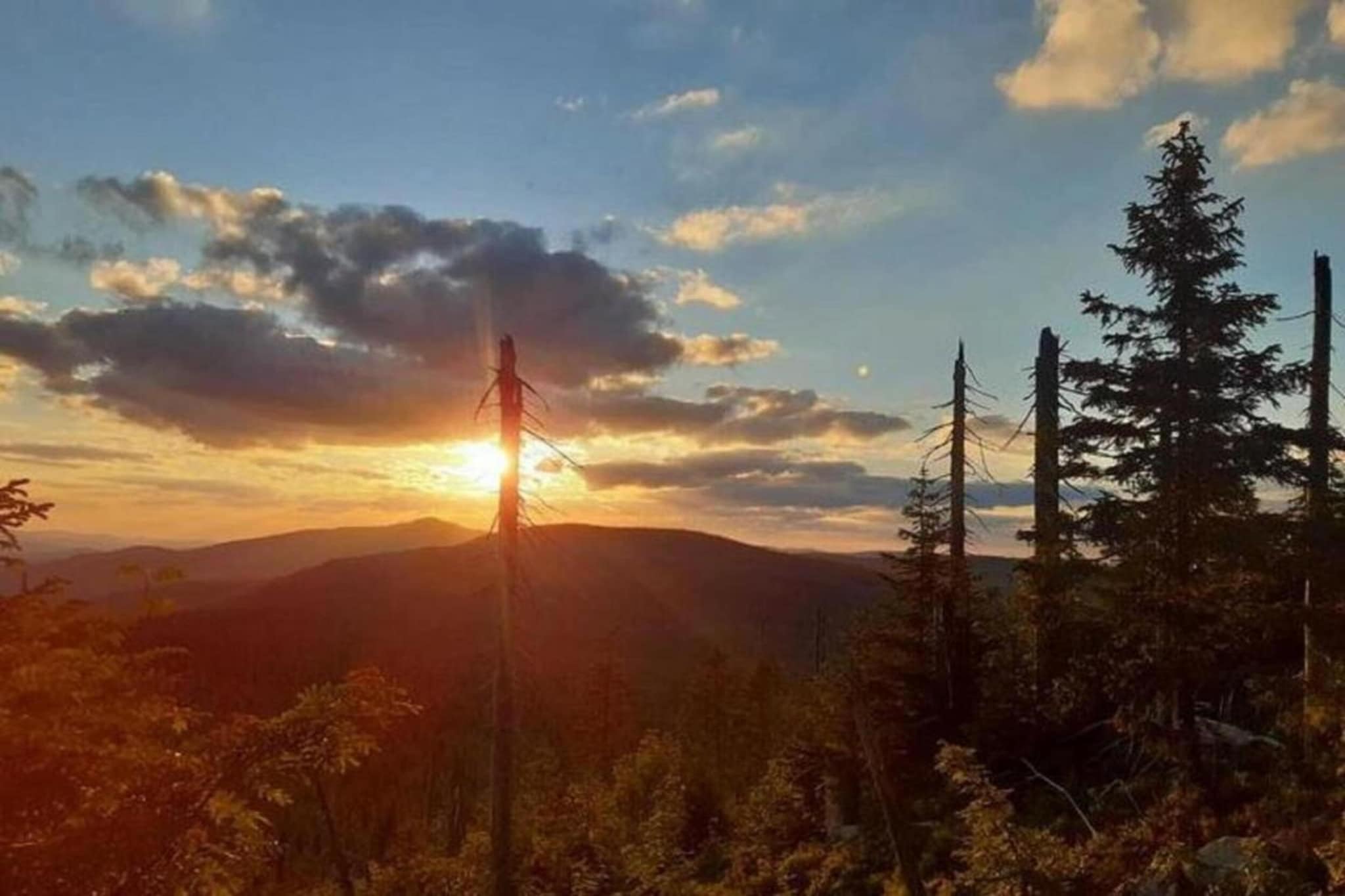 Im Bayerischen Wald-Gebieden zomer 20km
