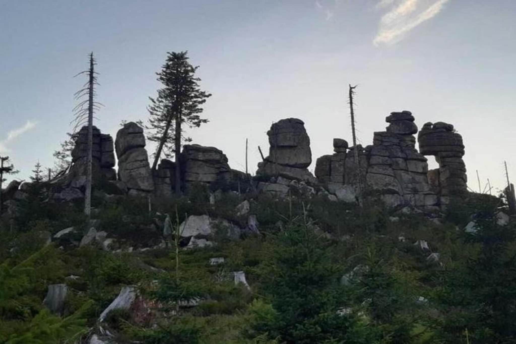 Im Bayerischen Wald-Gebieden zomer 20km