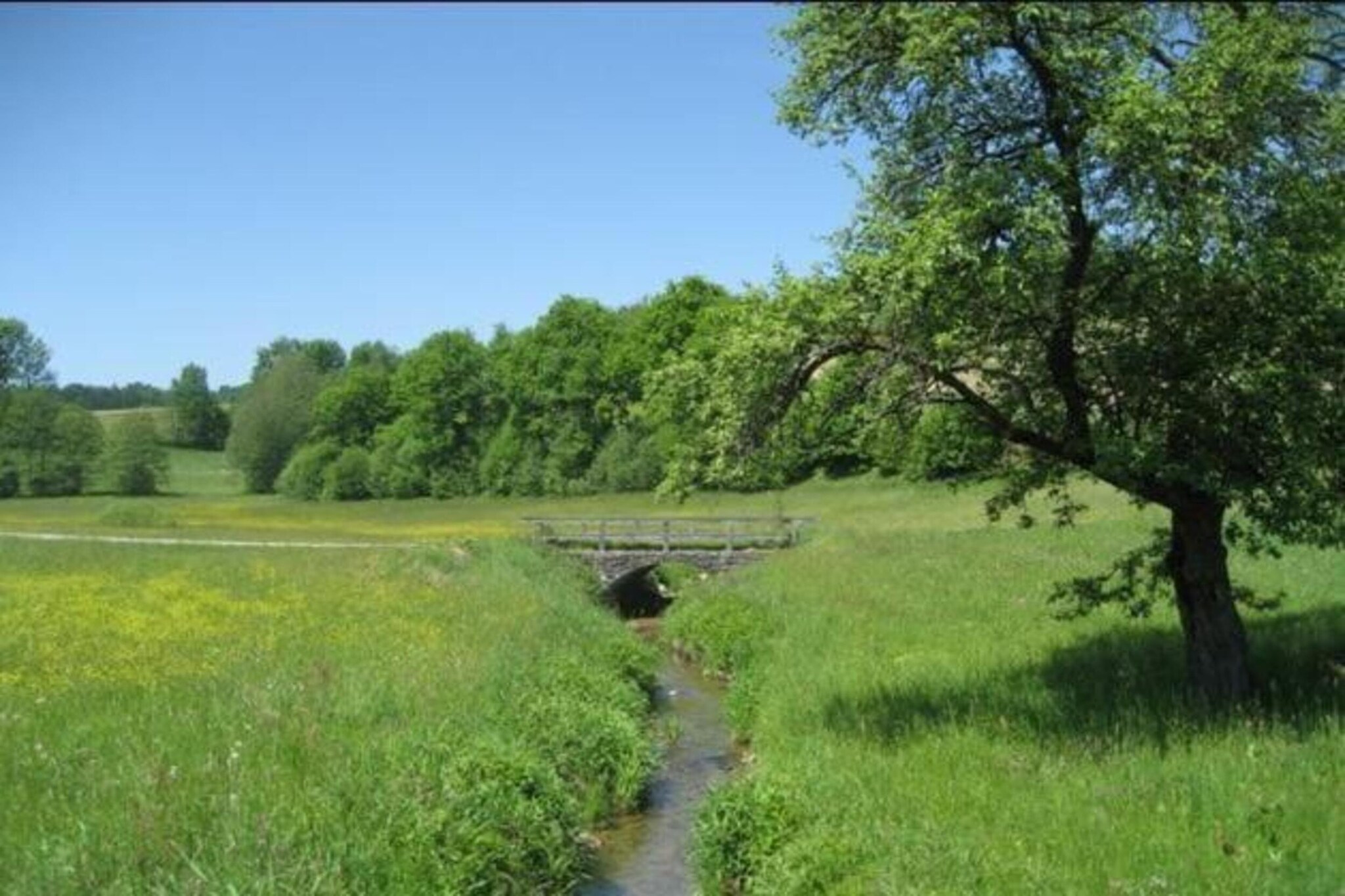 Im Bayerischen Wald-Gebieden zomer 20km
