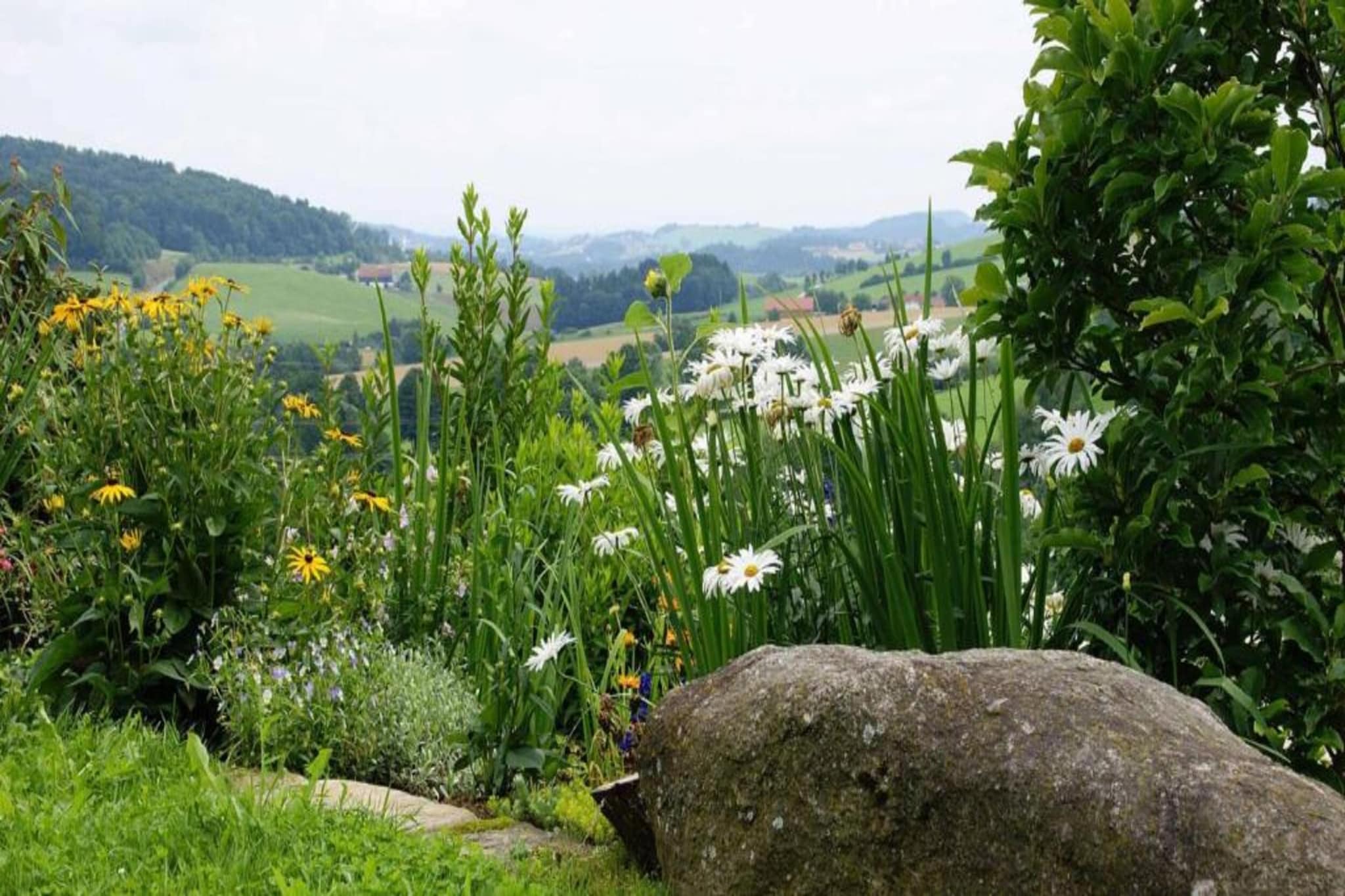 Im Bayerischen Wald-Gebieden zomer 20km