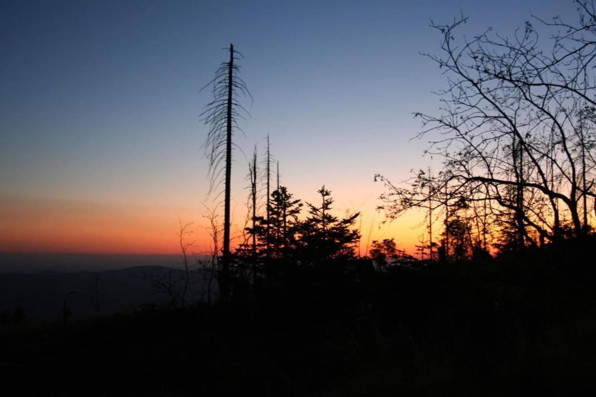 Im Bayerischen Wald-Gebieden zomer 20km