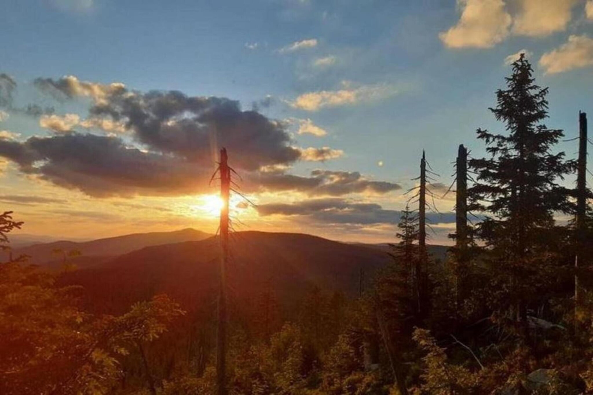 Im Bayerischen Wald-Gebieden zomer 20km