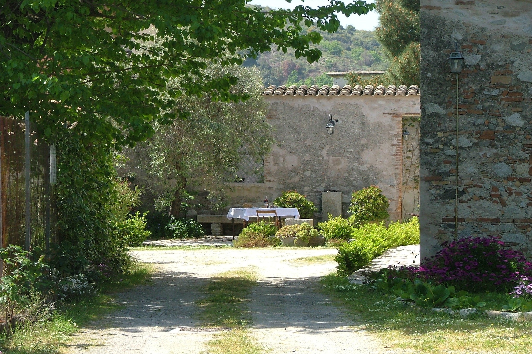 Garden Summer