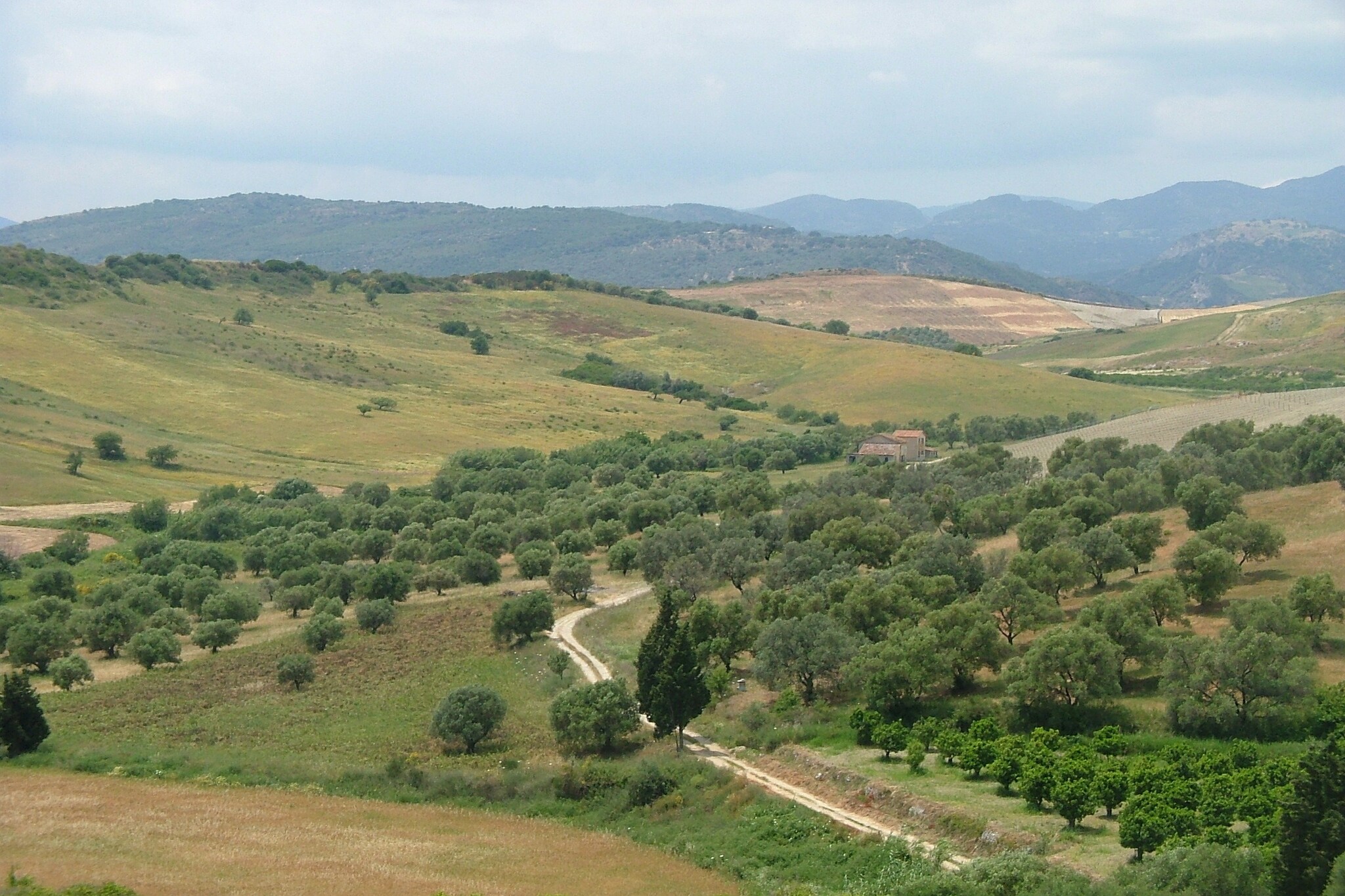 View Summer