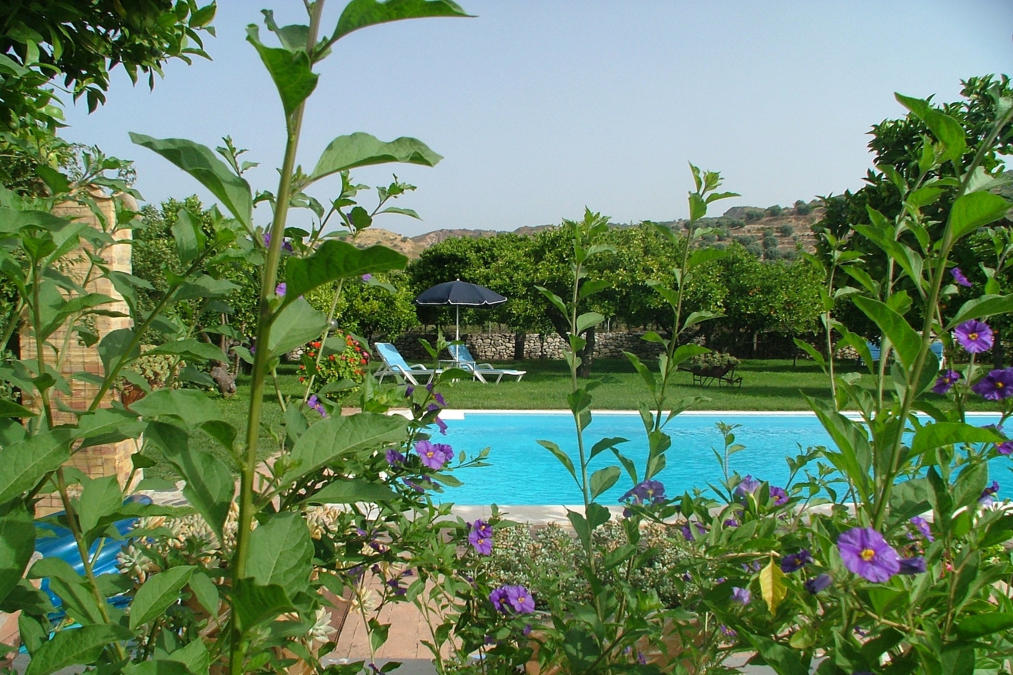 Pool Of House