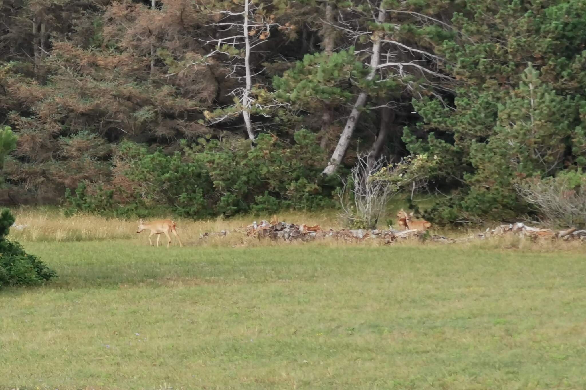 6 persoons vakantie huis in Store Fuglede-By Traum-Niet-getagd