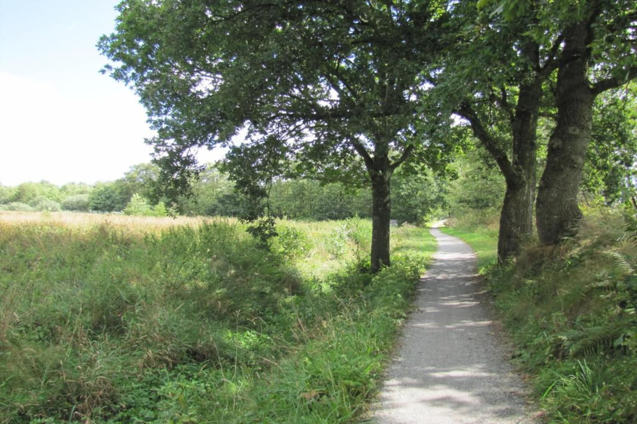 Olive apartment-Gebieden zomer 20km