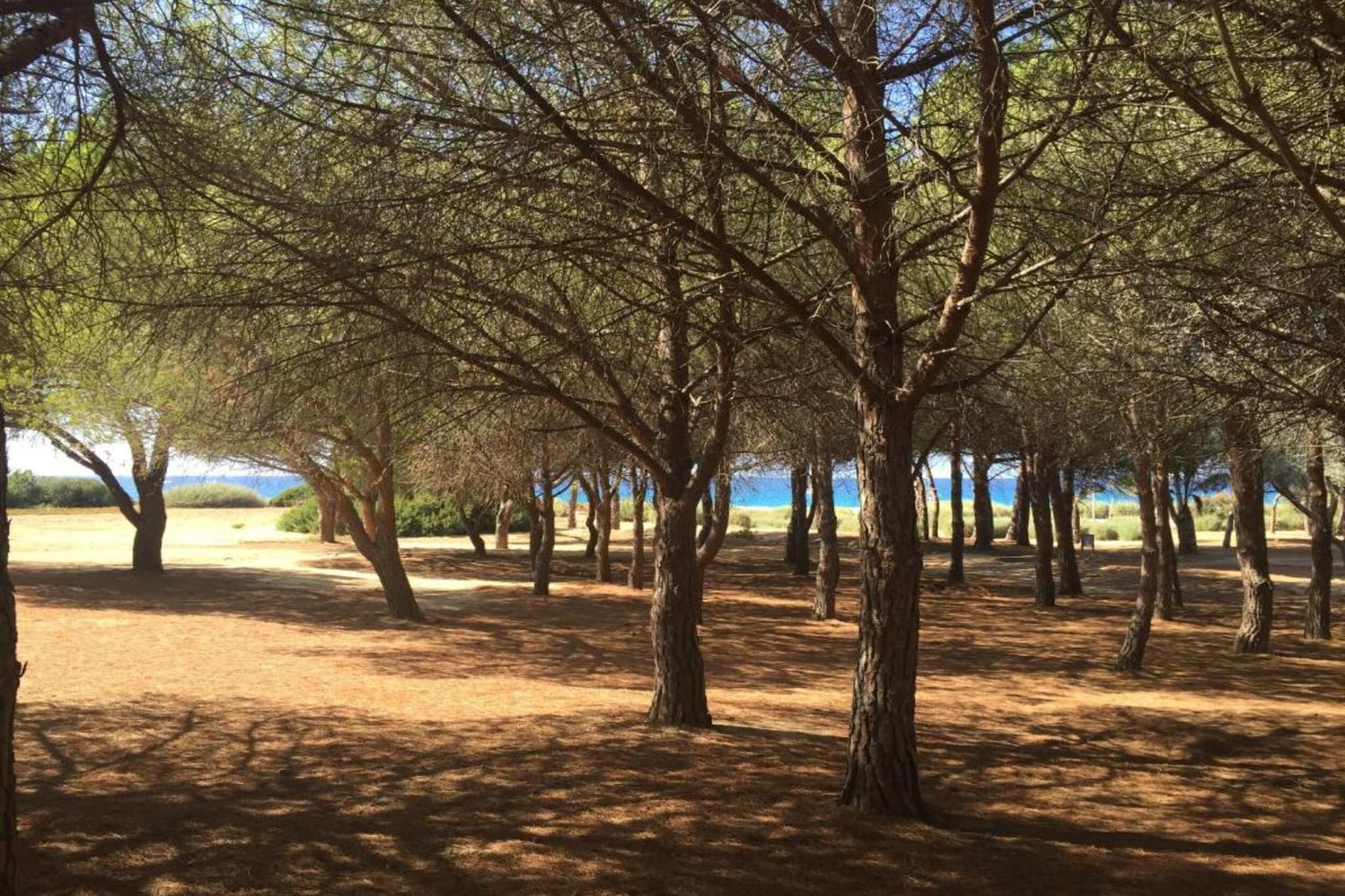 Résidence-Club les Villas Bel Godère 3-Areas summer 5km