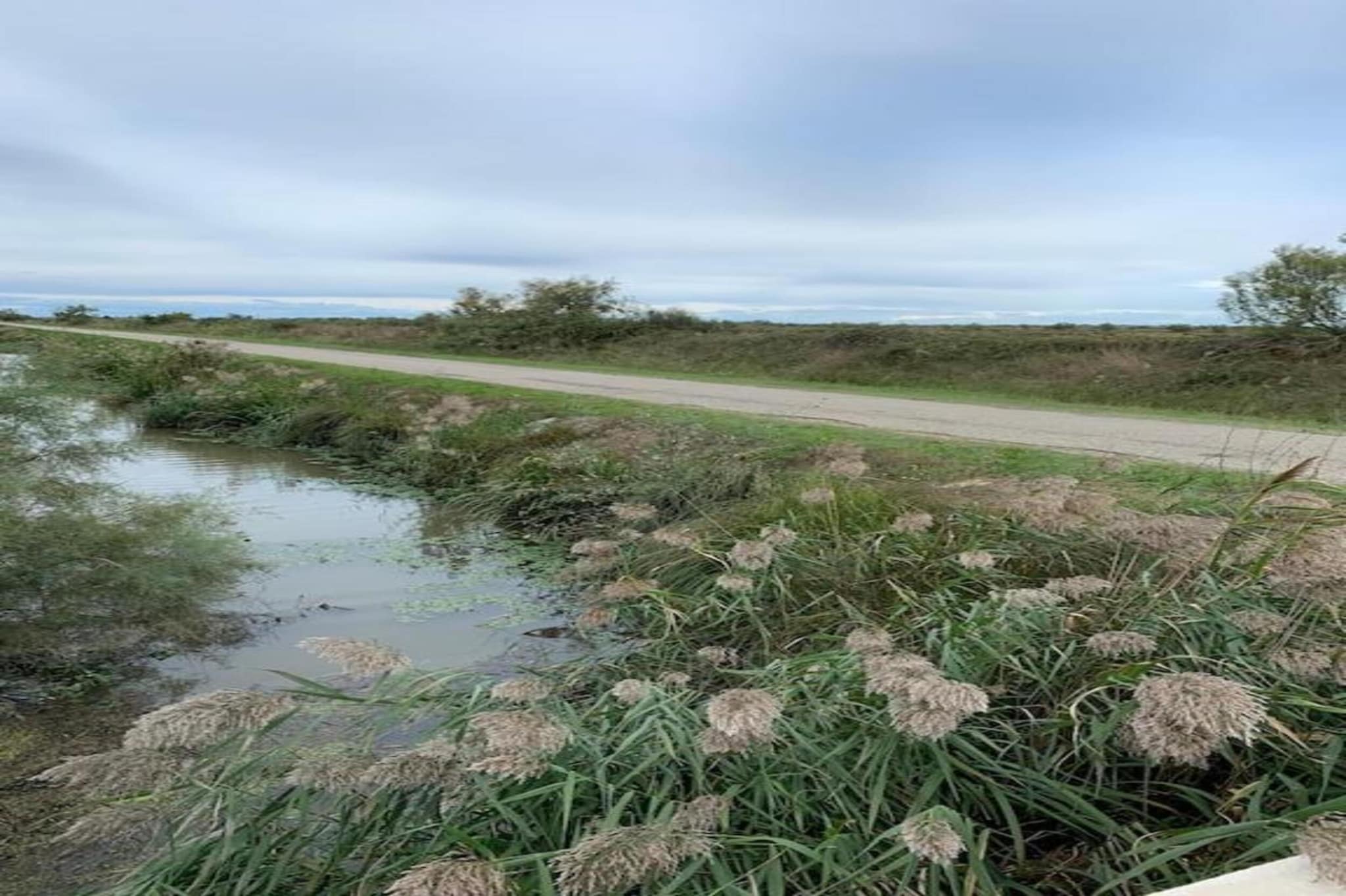 Le village Camarguais Les Gardians 3-Gebieden zomer 20km