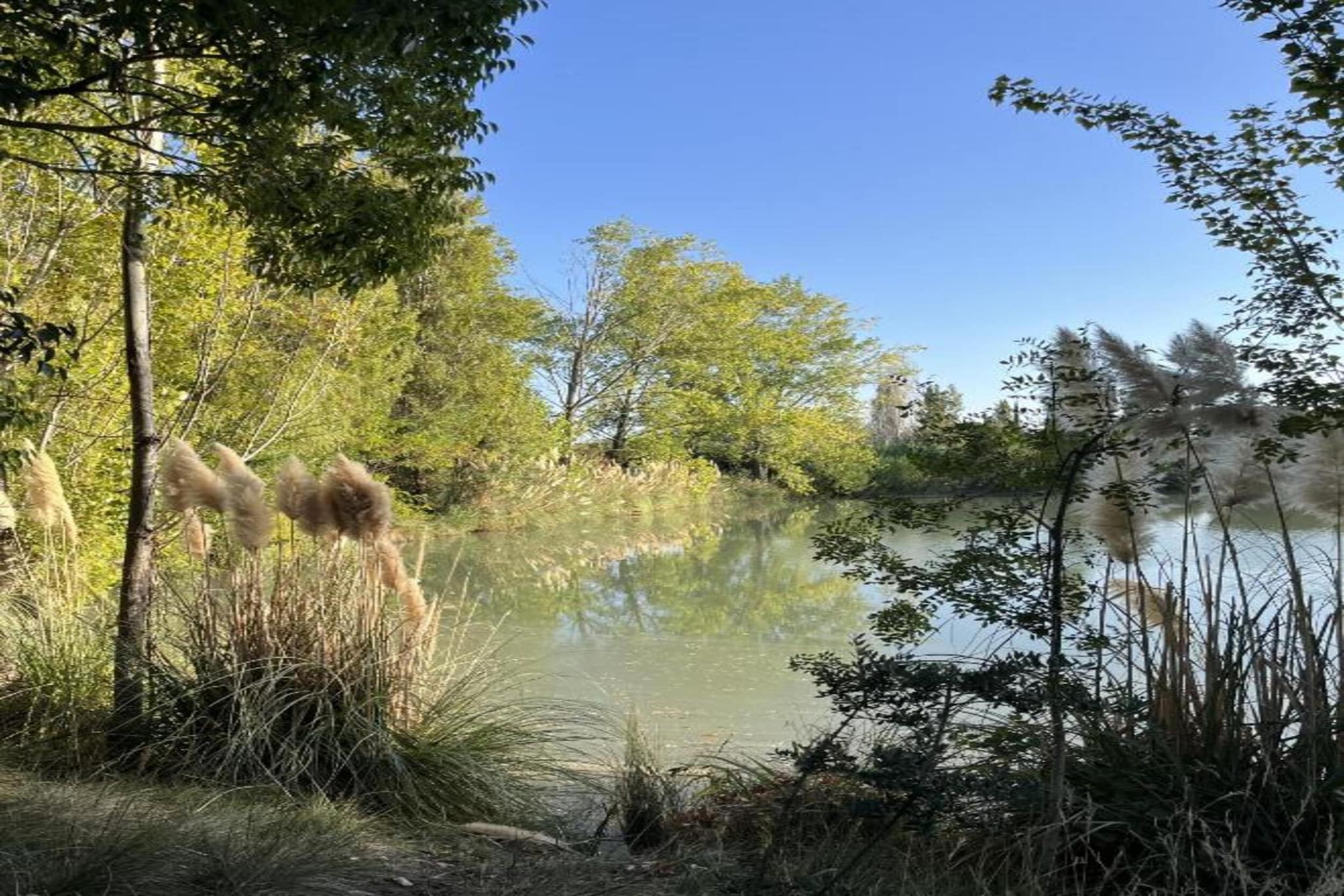 Le village Camarguais Les Gardians 4-Gebieden zomer 20km
