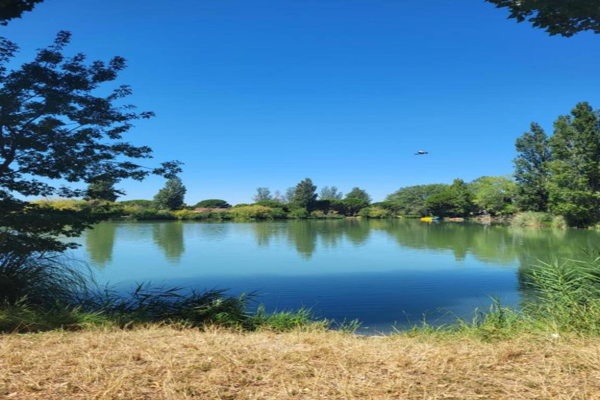 Le village Camarguais Les Gardians 4-Gebieden zomer 20km