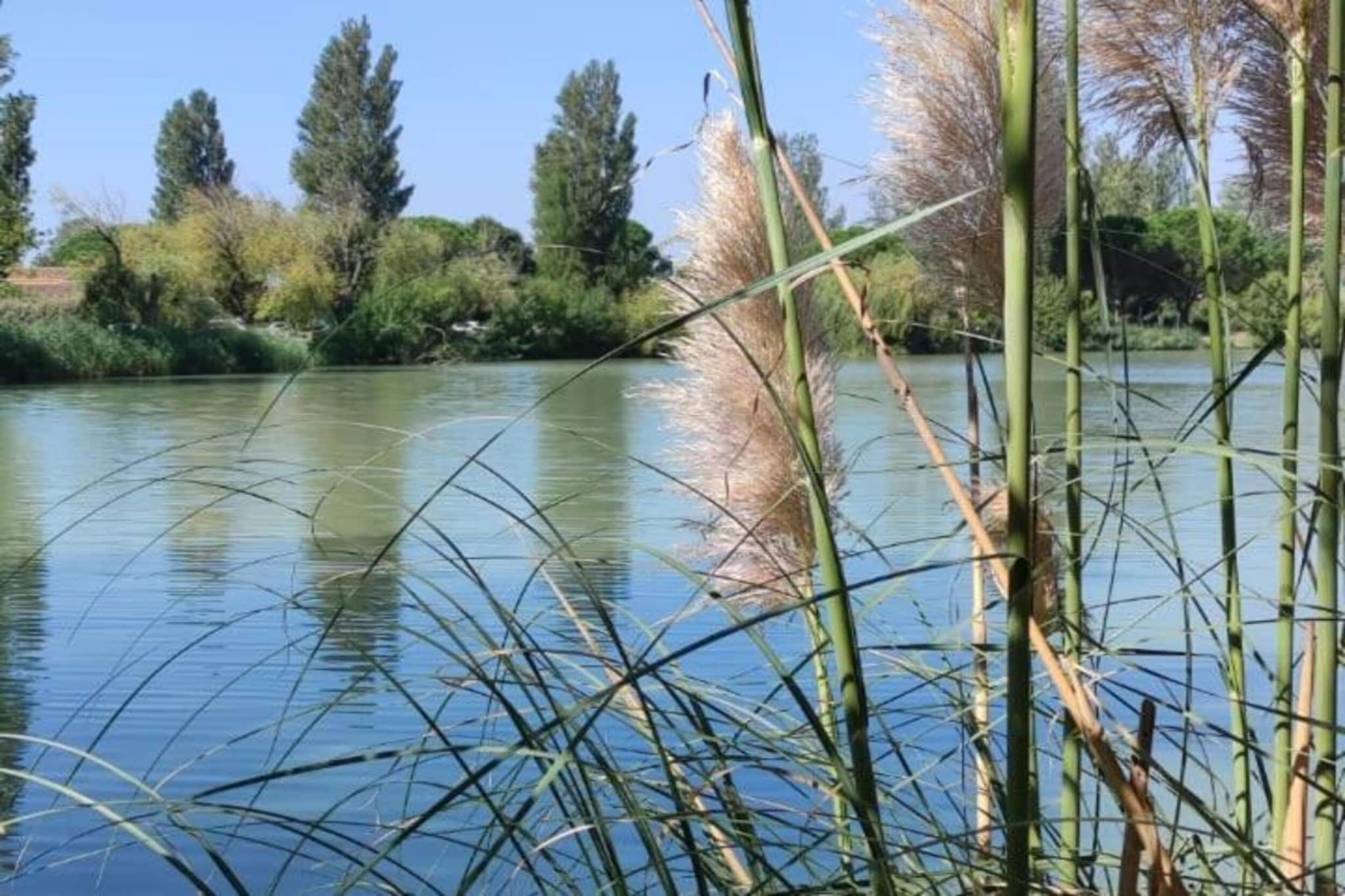 Le village Camarguais Les Gardians 4-Gebieden zomer 20km