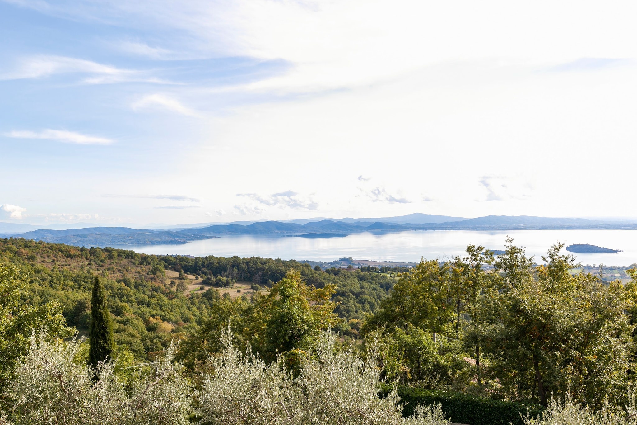 View Summer