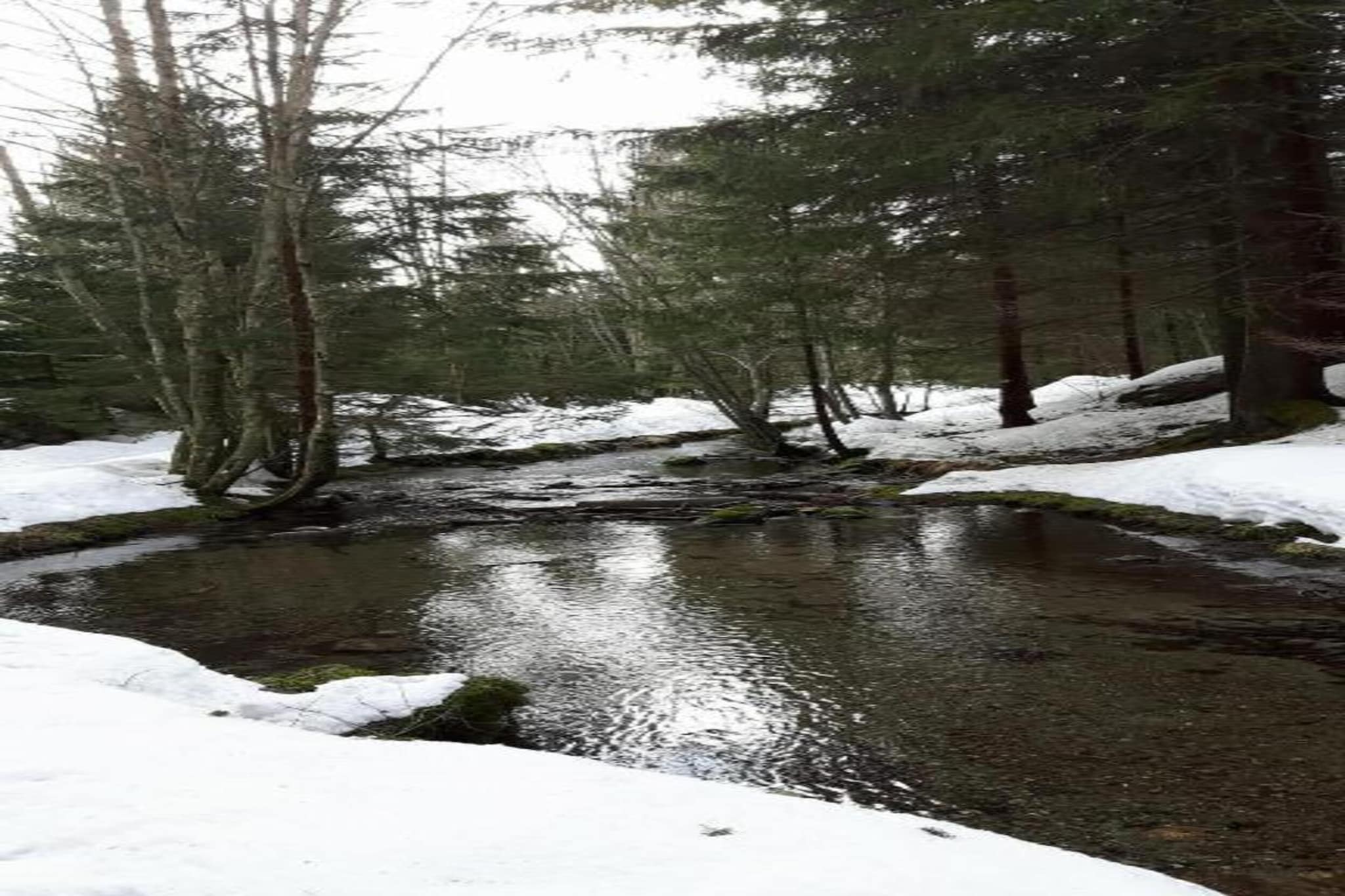Isatis 3-Gebied winter 20km