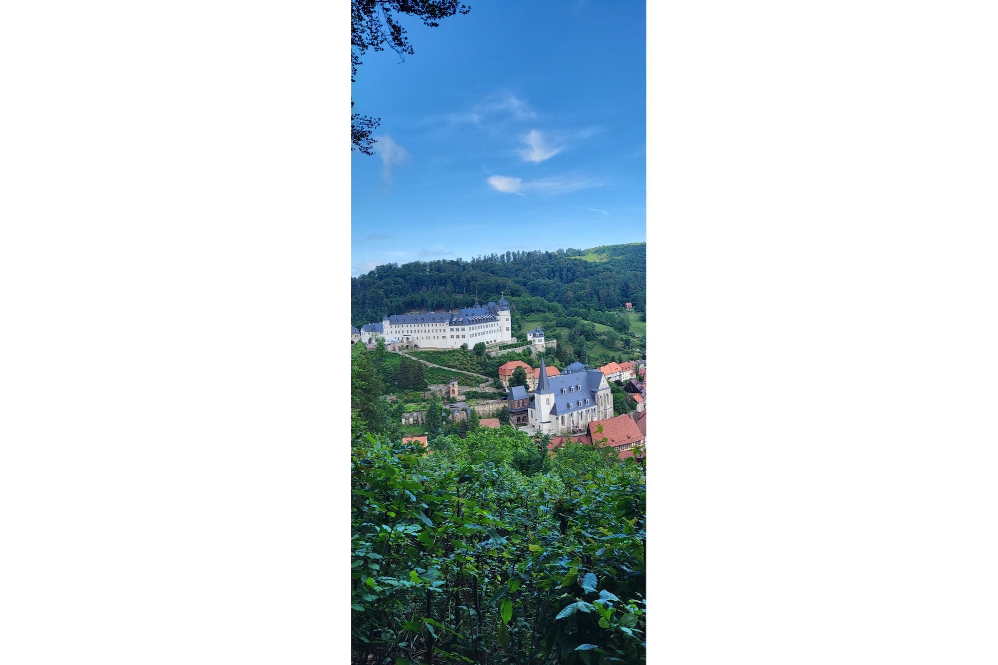 Doro-Areas within 5km in summer