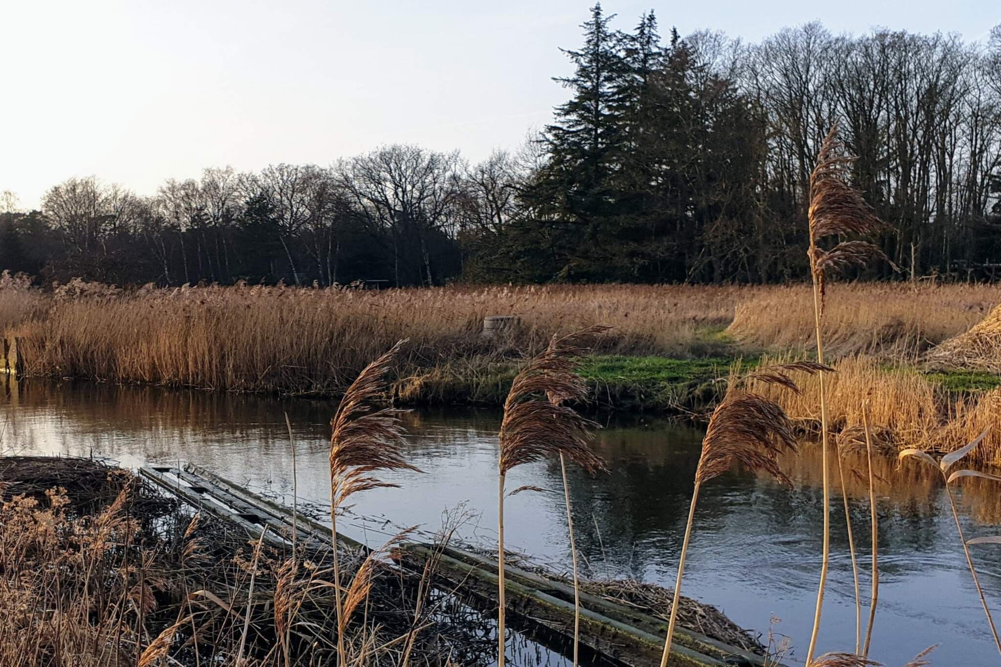 6 persoons vakantie huis in Store Fuglede-By Traum-Waterzicht