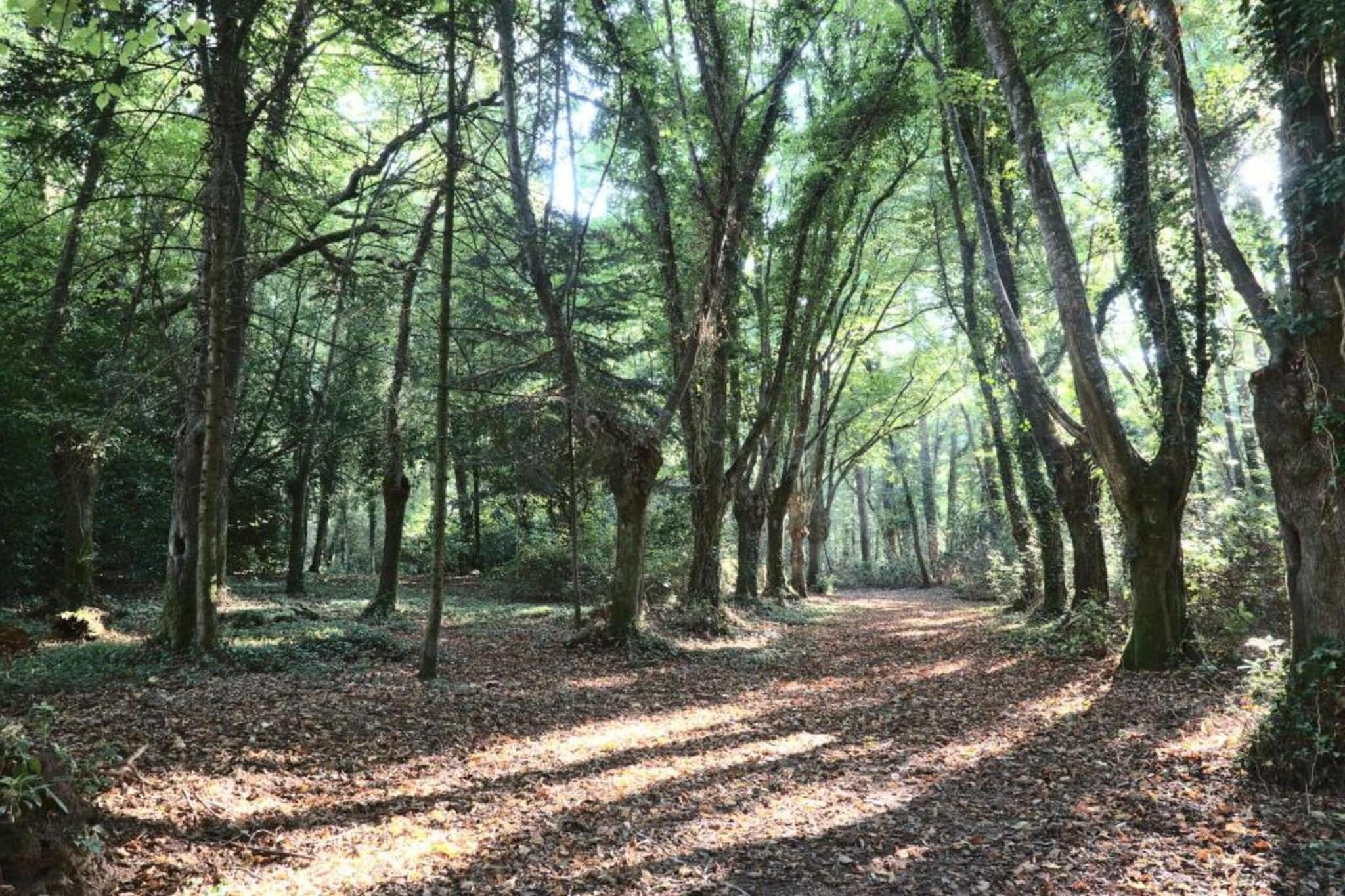 Domaine de val Quéven 1-Gebieden zomer 20km