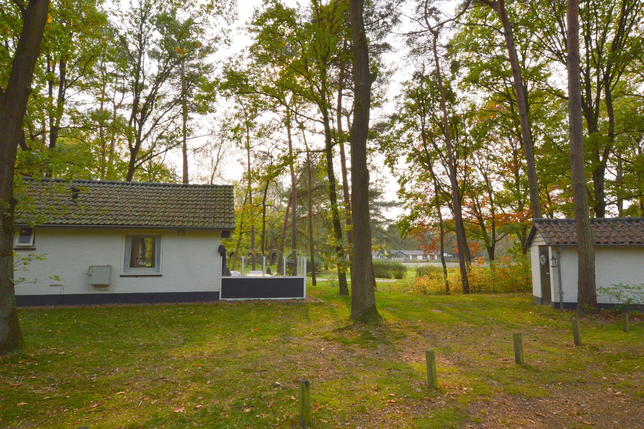 Abgeschiedene Ferienwohnung in Limburg, in dichtem Wald
