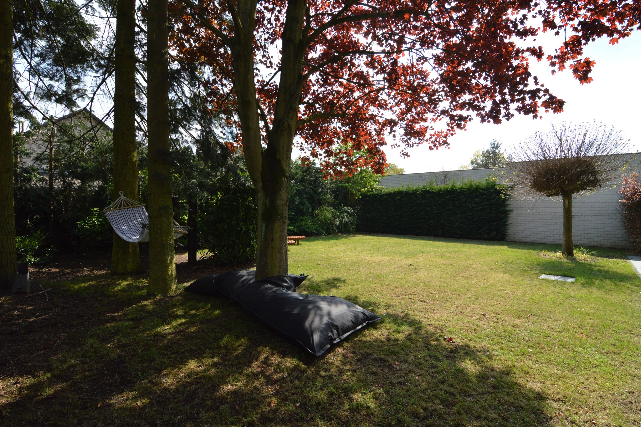Vakantiehuis Beringen max. 12 personen 2 huisdieren 5 slaapkamers #9