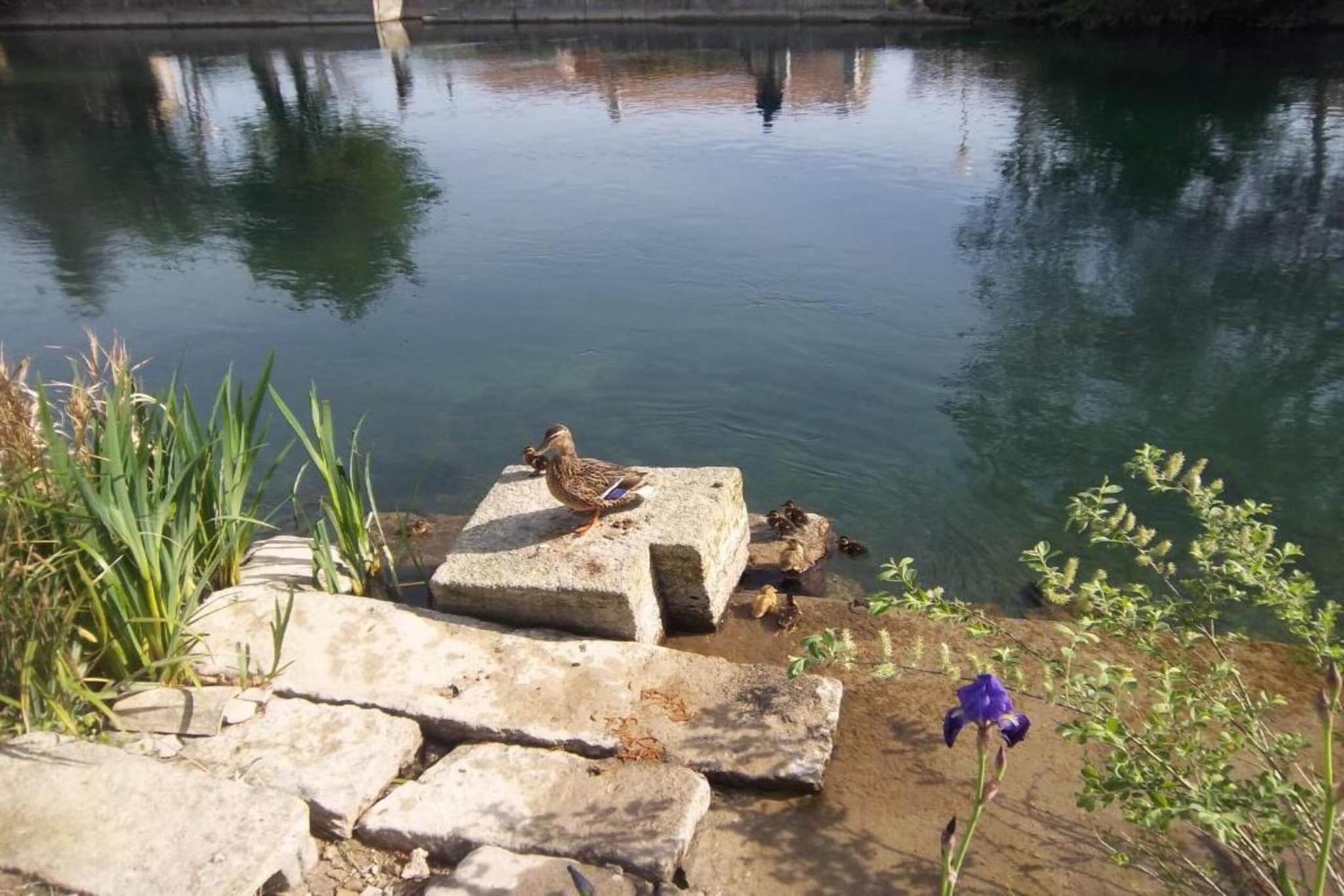 L'oustau de Sorgue 1-Gebieden zomer 20km