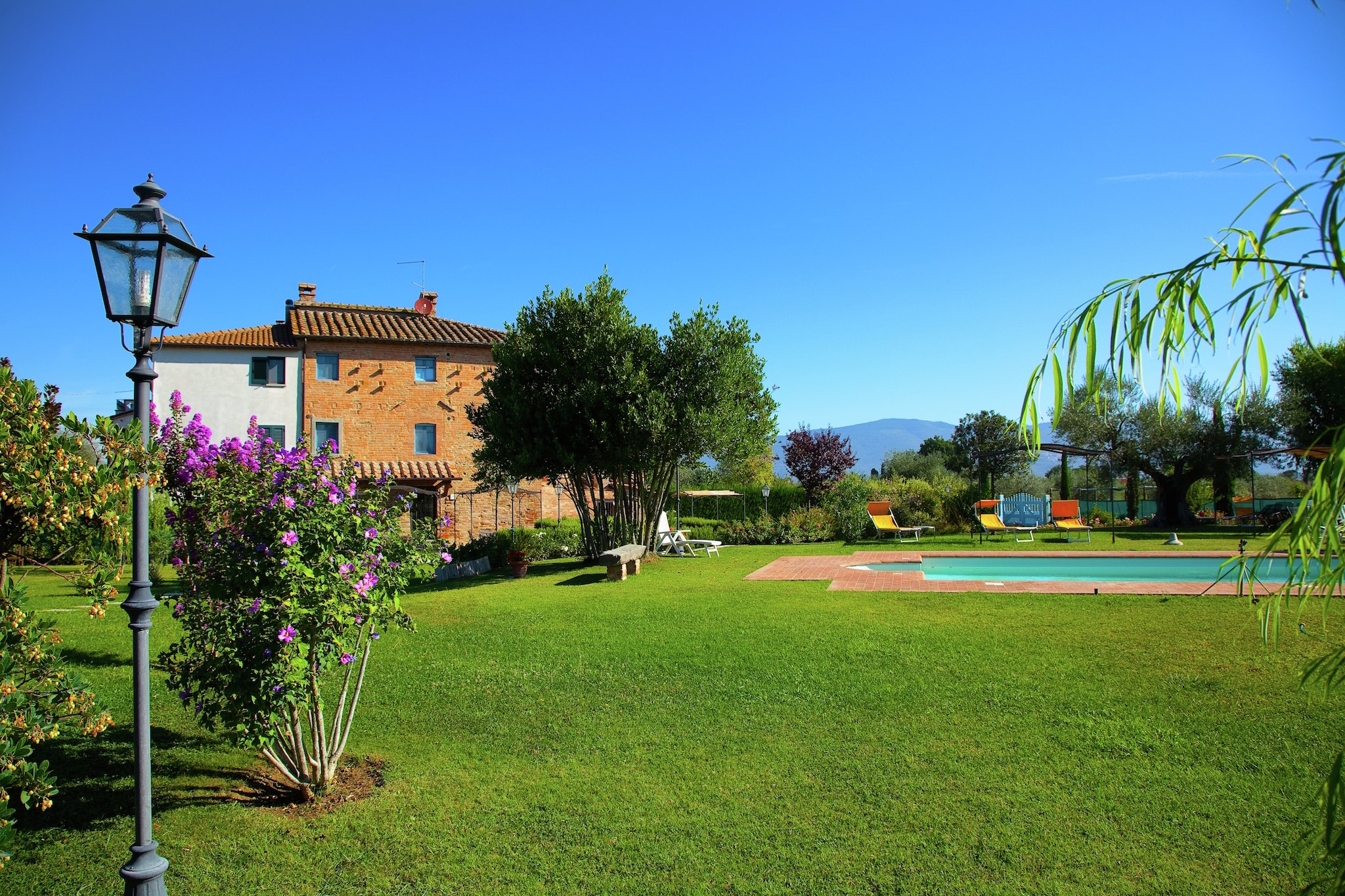 Garden Summer