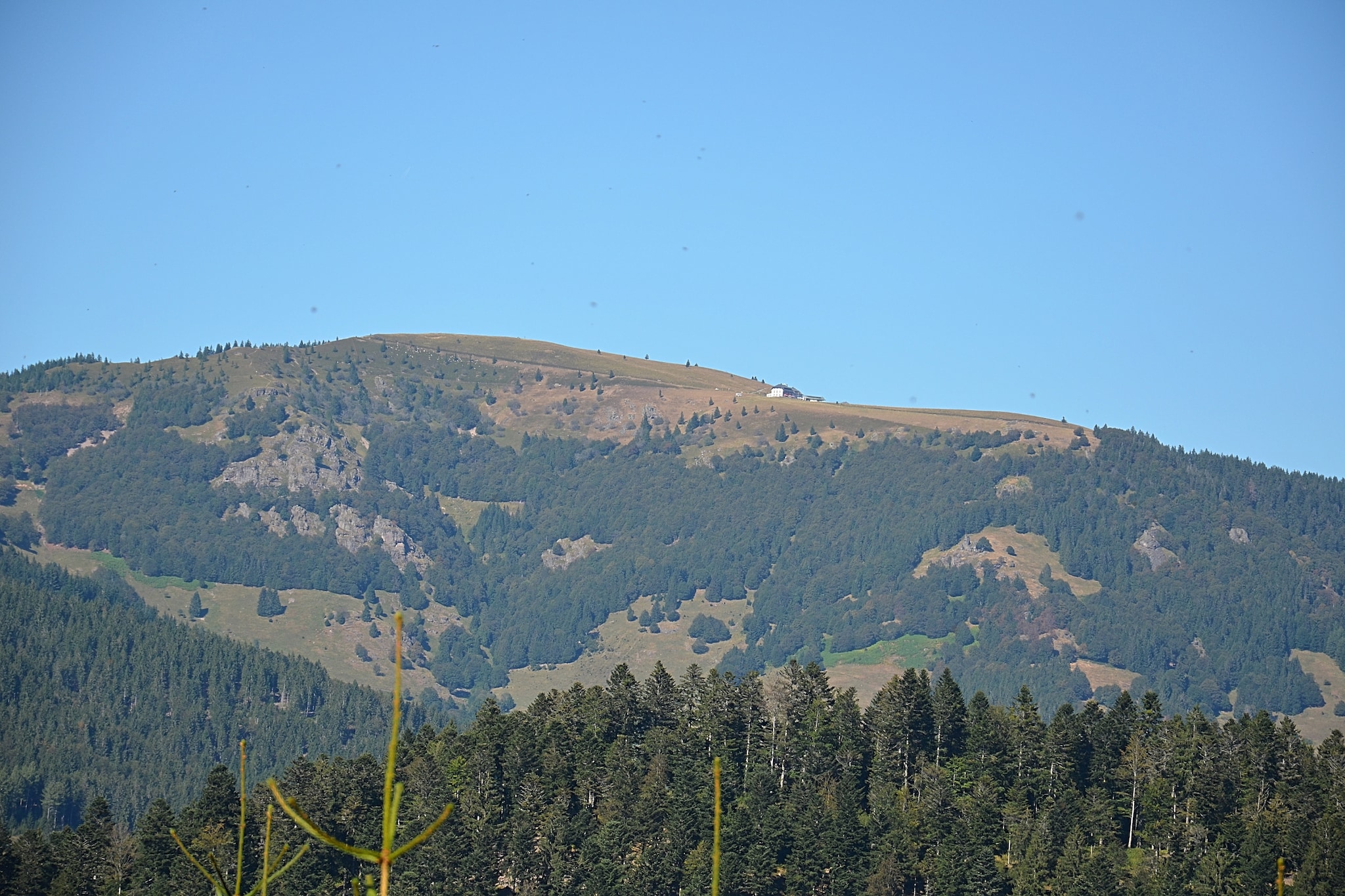 Schwarzwald