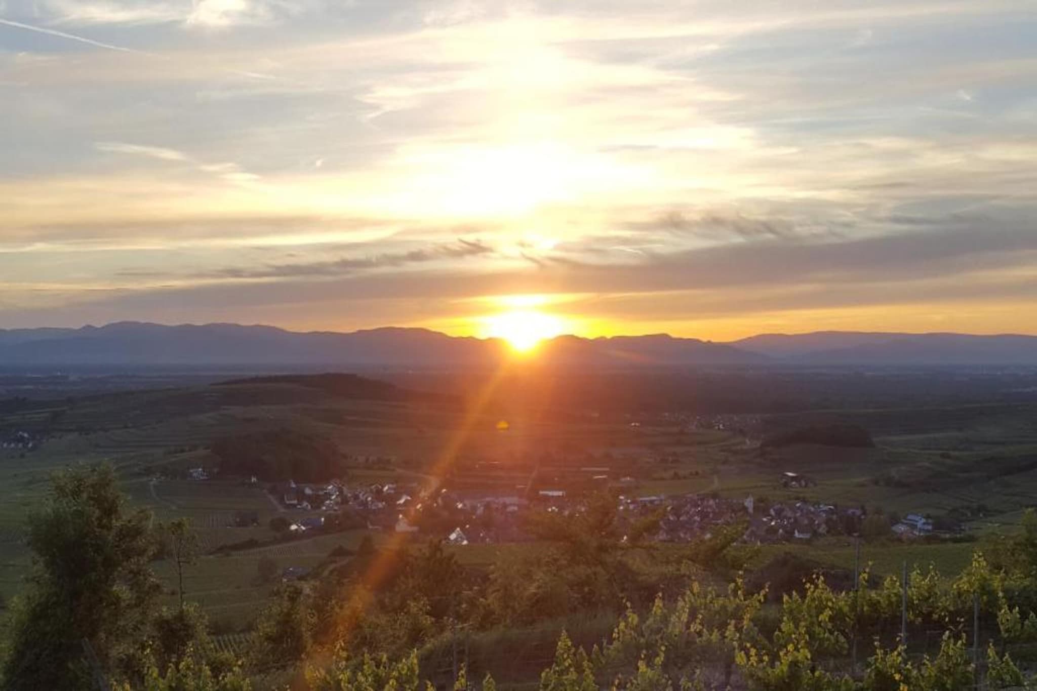 Schwarzwald-Gebieden zomer 20km