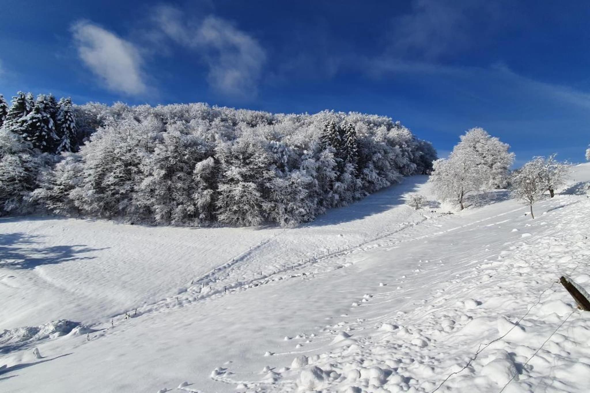 Schwarzwald-Gebied winter 20km