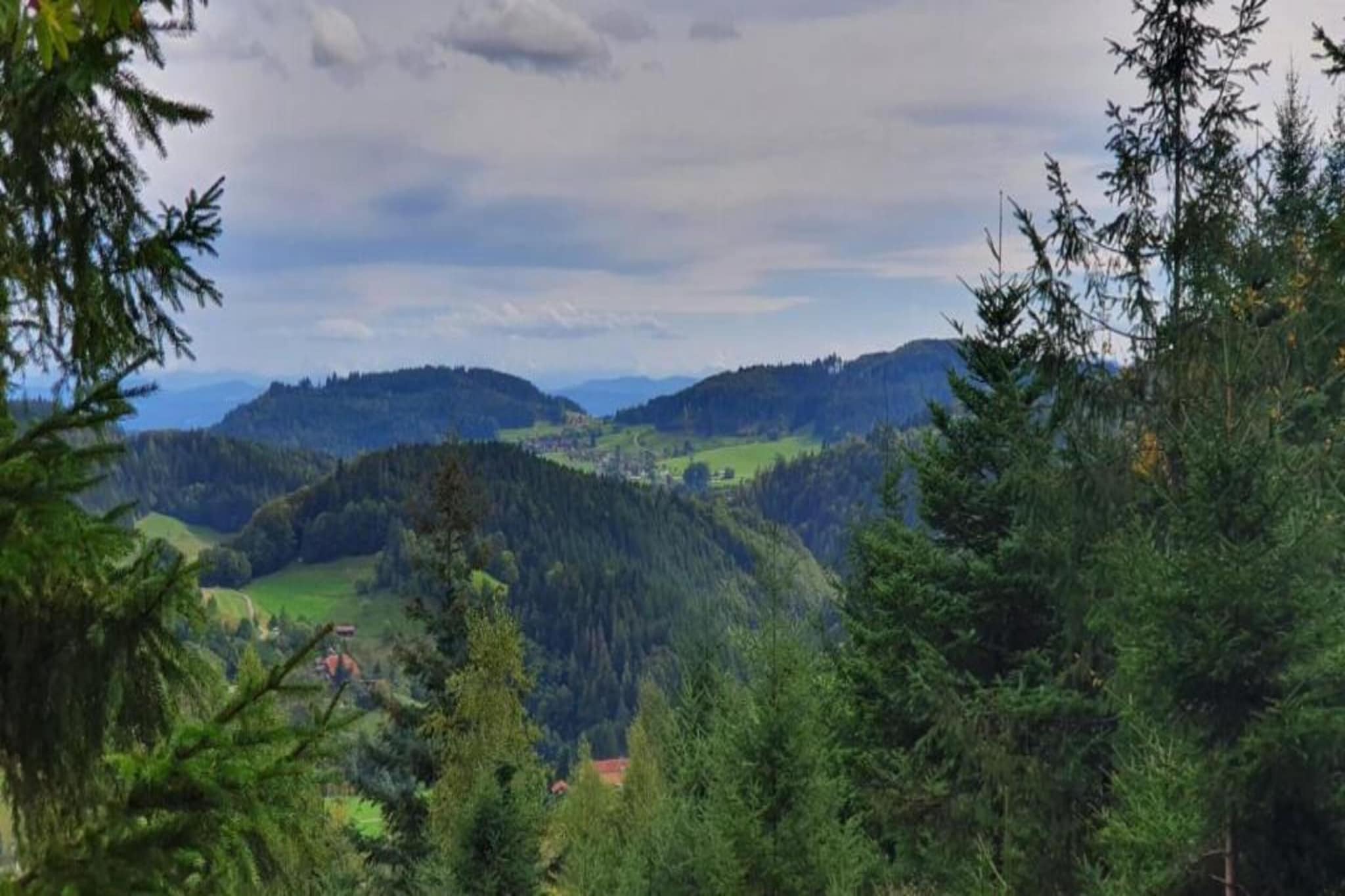 Schwarzwald-Gebieden zomer 20km