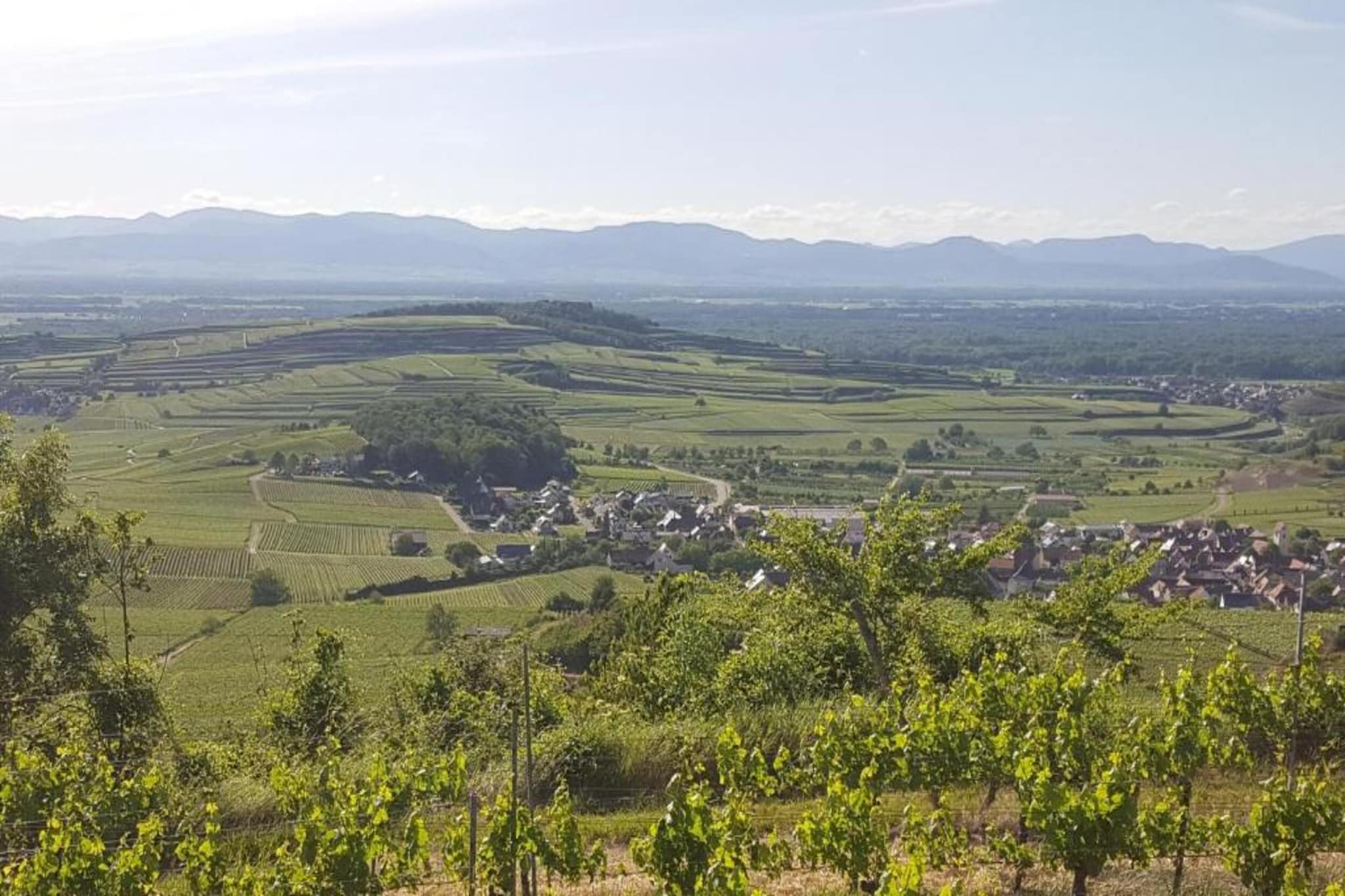 Schwarzwald-Gebieden zomer 20km