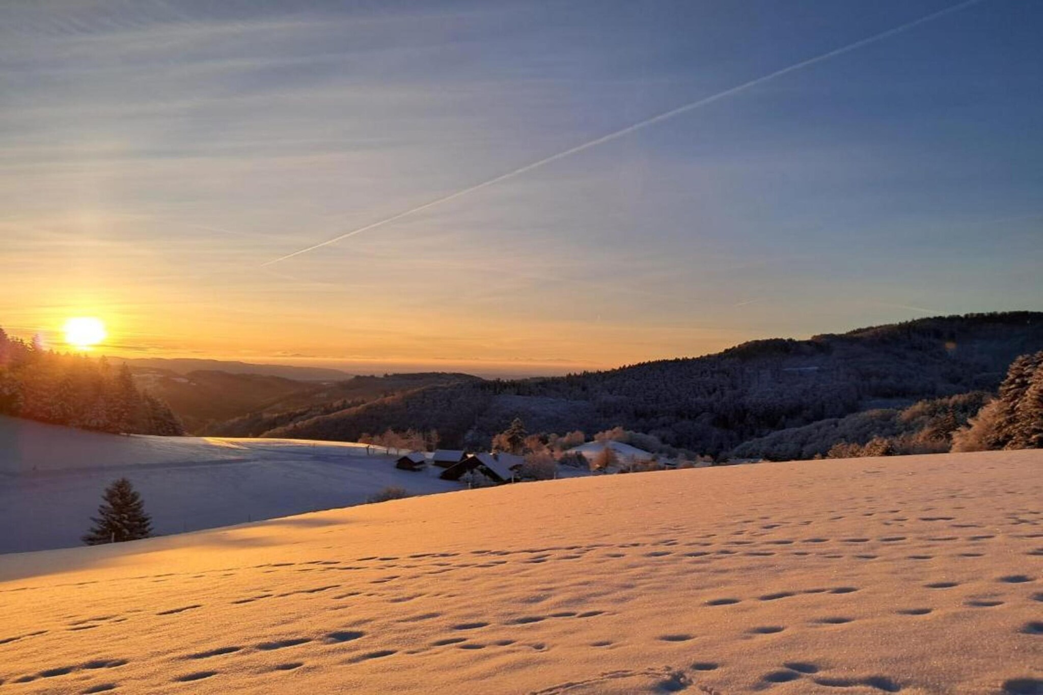 Schwarzwald-Gebied winter 20km