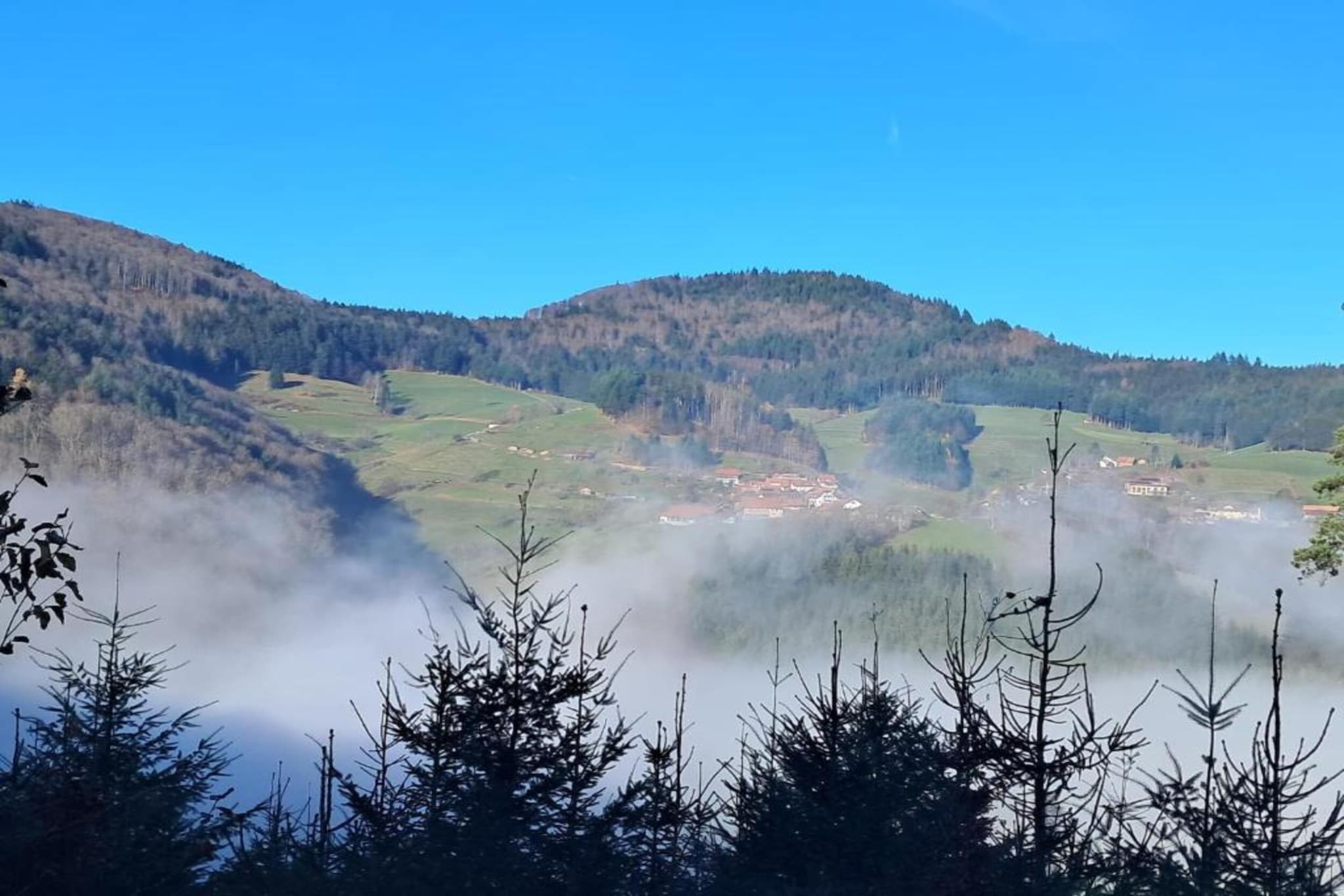 Schwarzwald-Gebieden zomer 20km