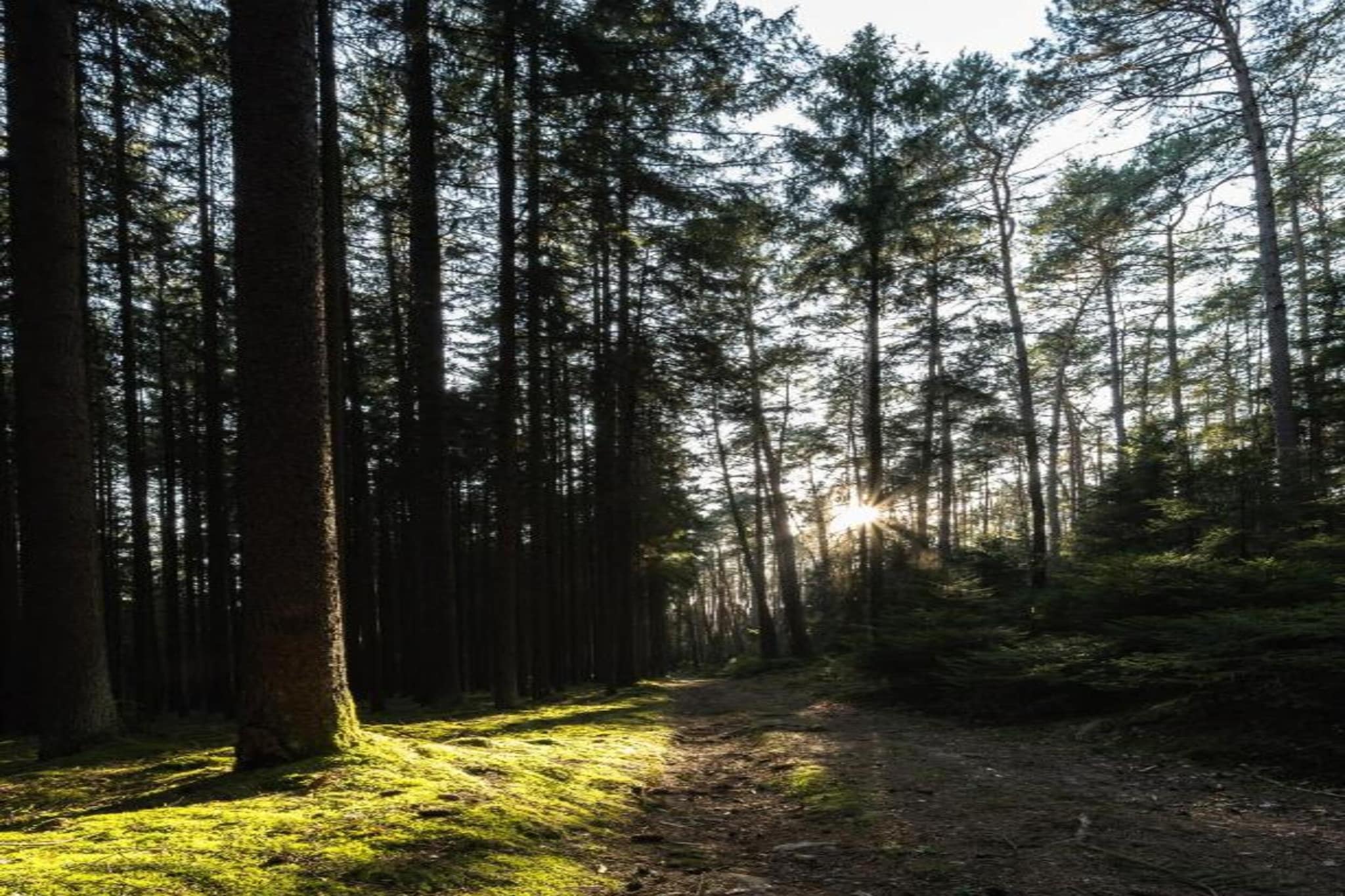 Möhrenbach-Gebieden zomer 1km