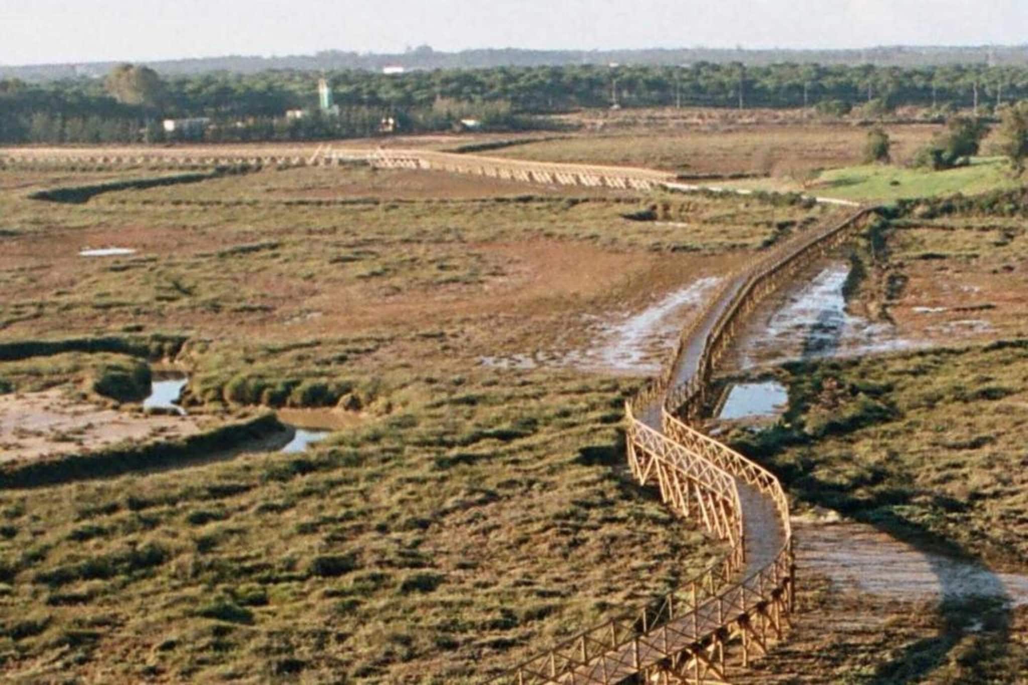 Green Paradise	-Gebieden zomer 20km