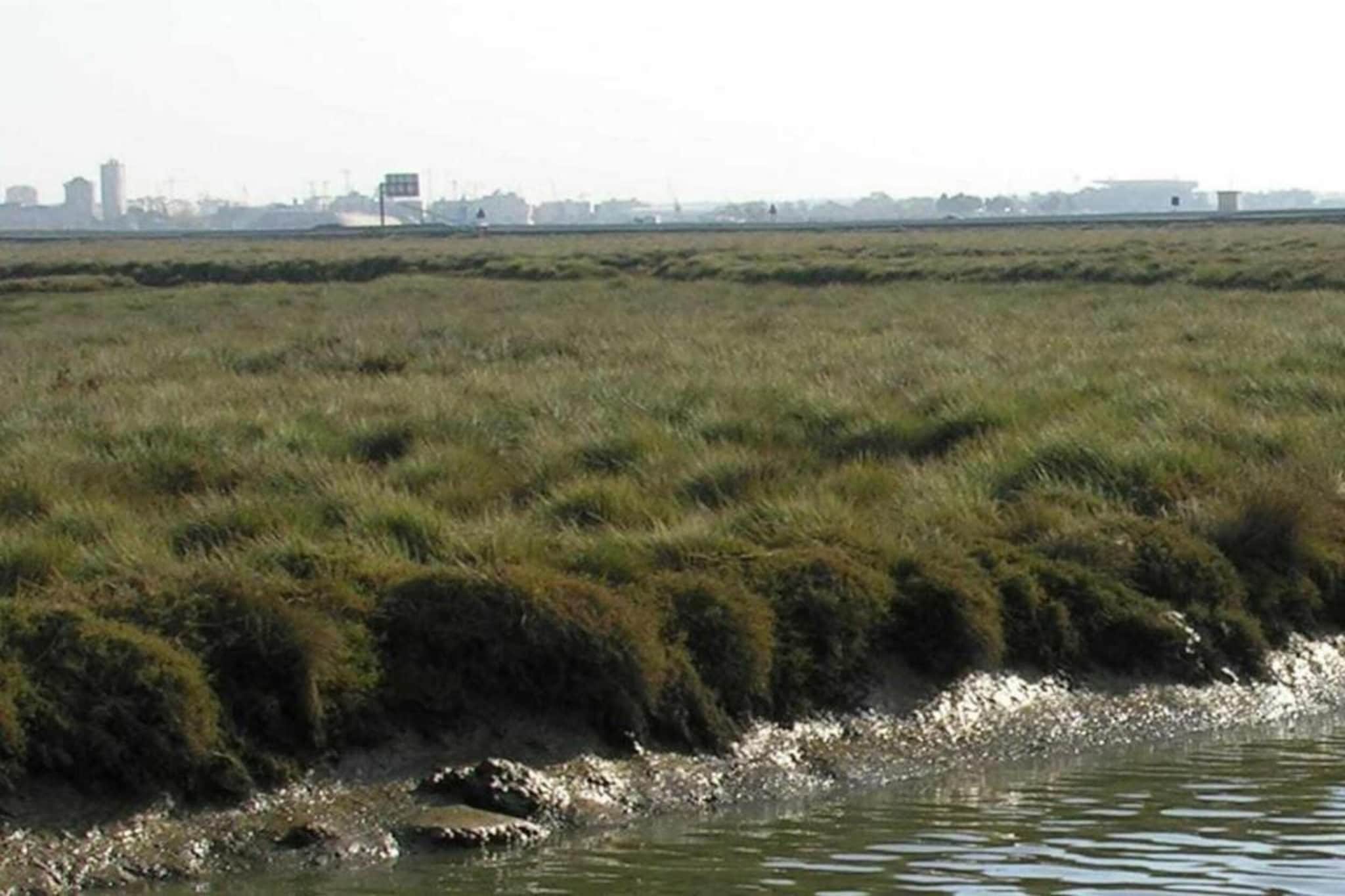 Green Paradise	-Gebieden zomer 20km
