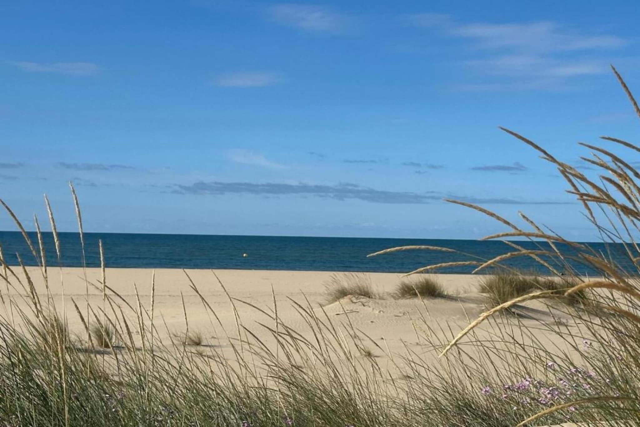 Green Paradise	-Gebieden zomer 20km