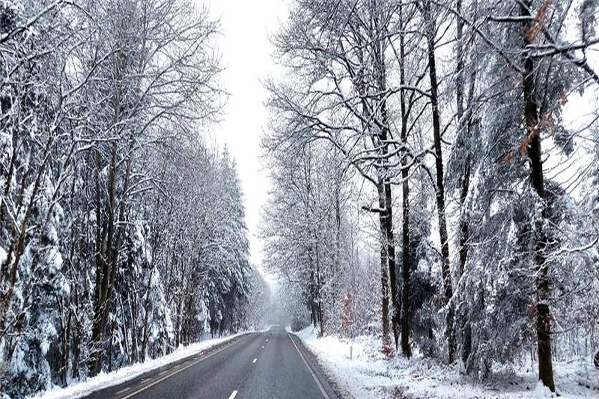 CASA BELVENE REGIO SPA-THEUX - Gebied winter 5km