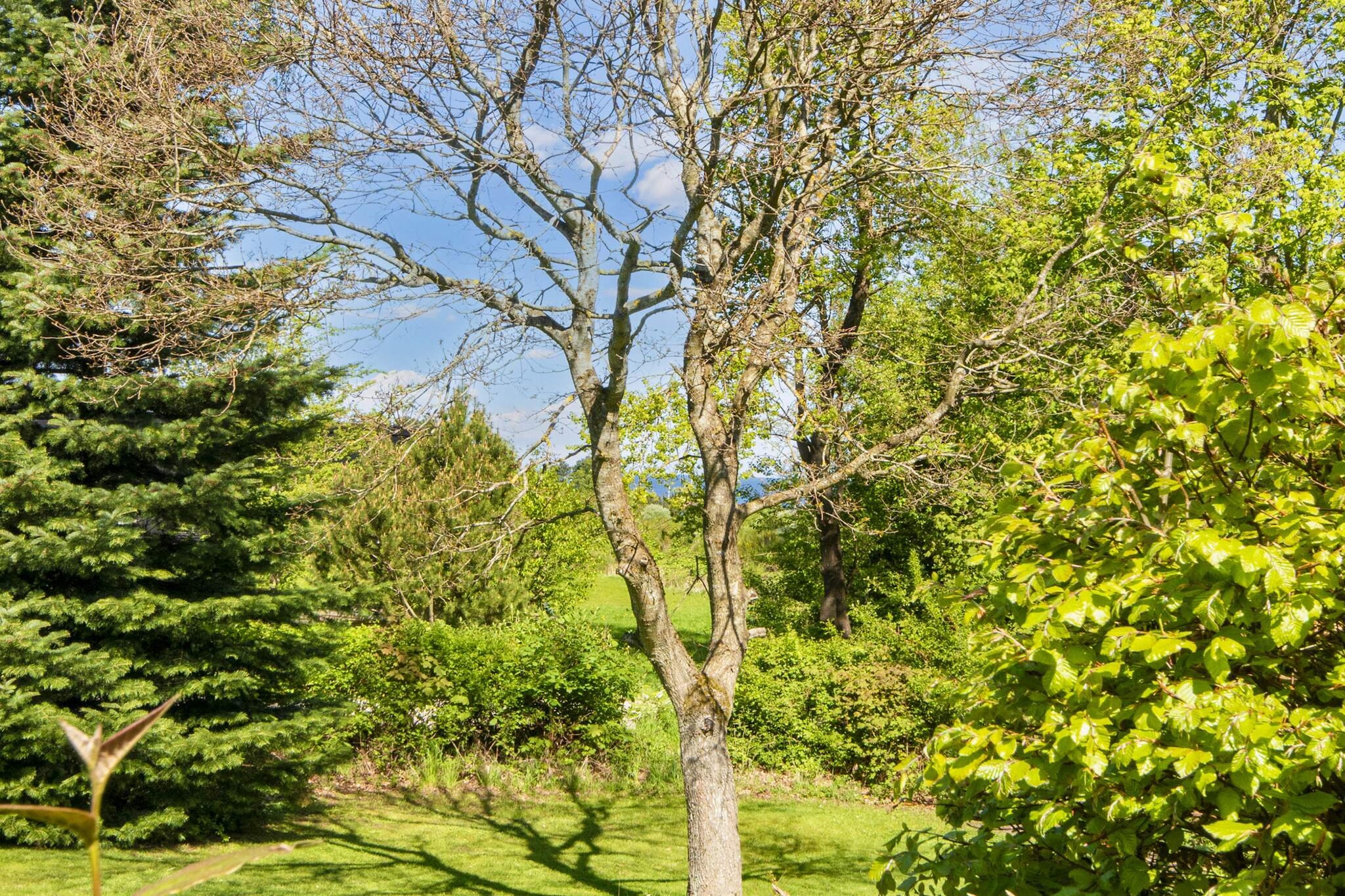 6 persoons vakantie huis in Glesborg