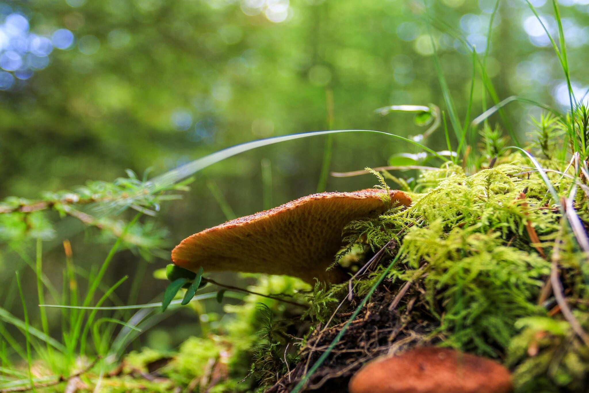 4 persoons vakantie huis in Hovborg-By Traum-Niet-getagd